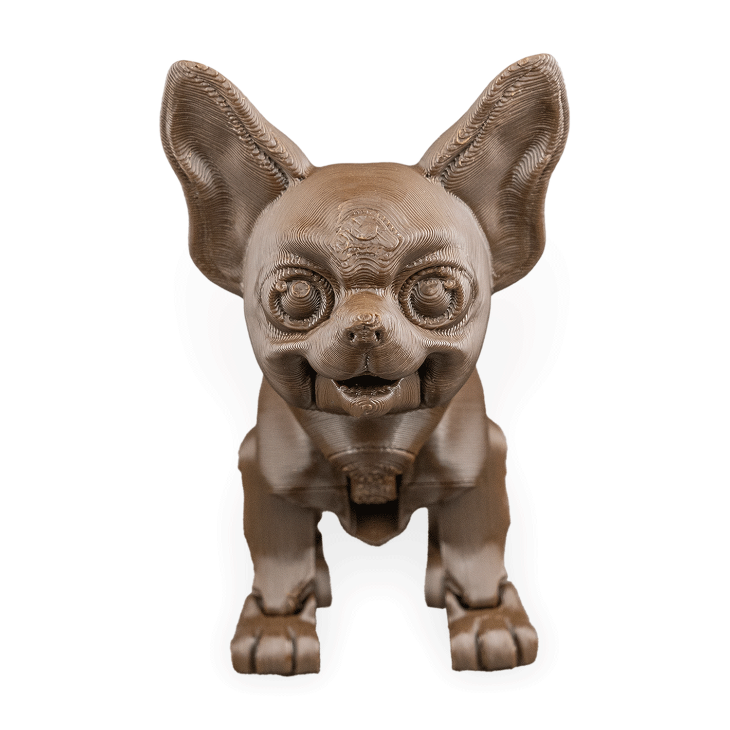 Lupe, the Chihuahua