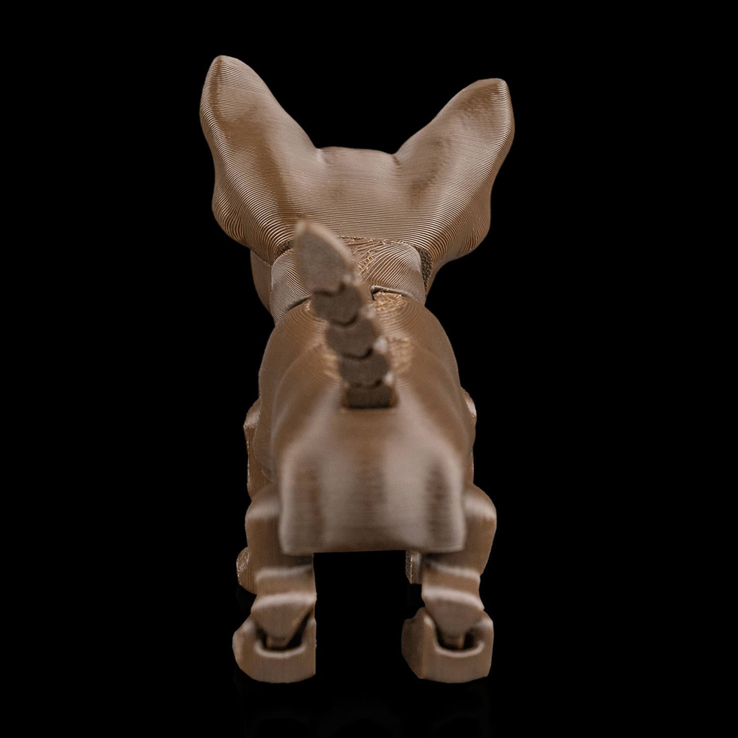 Lupe, the Chihuahua