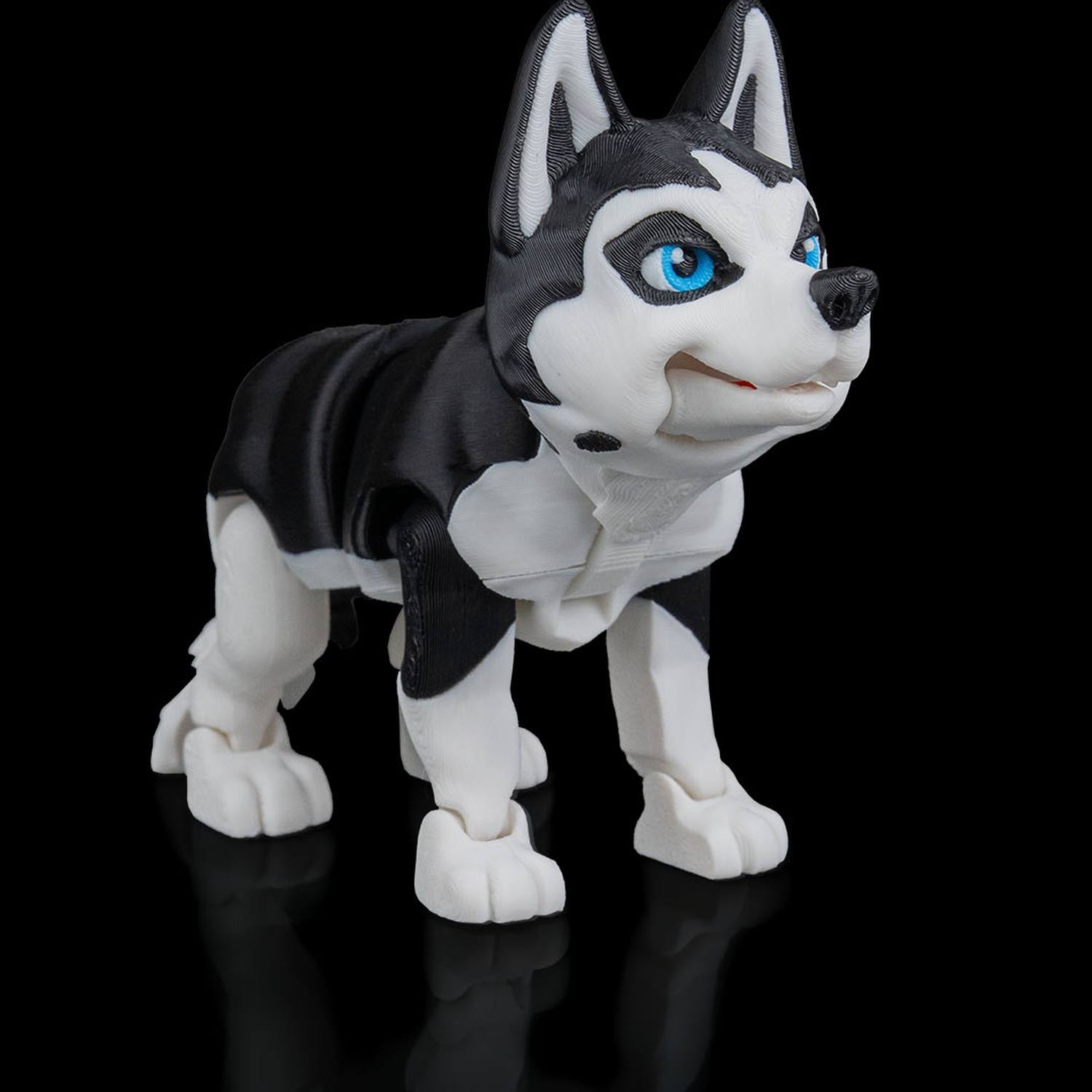 Maya, the Husky