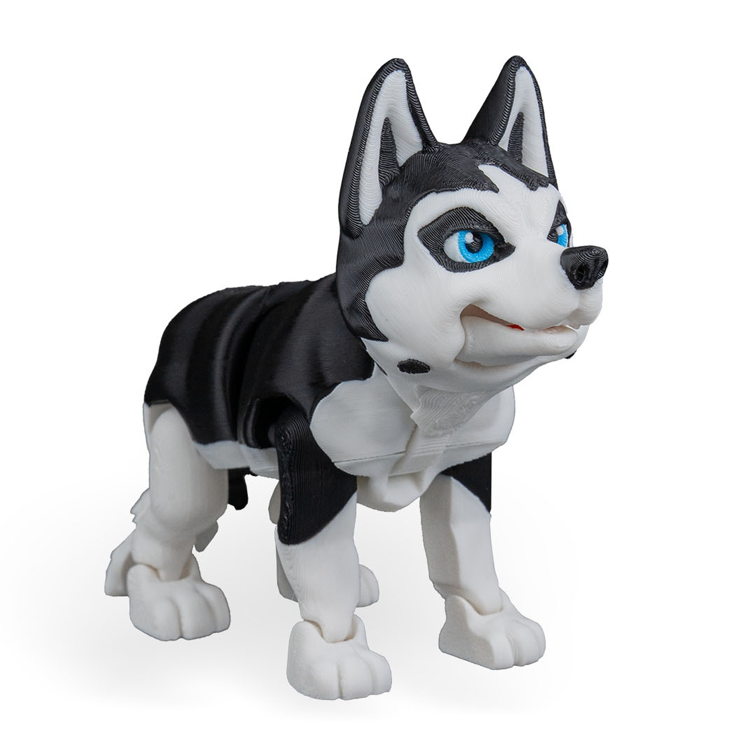 Maya, the Husky