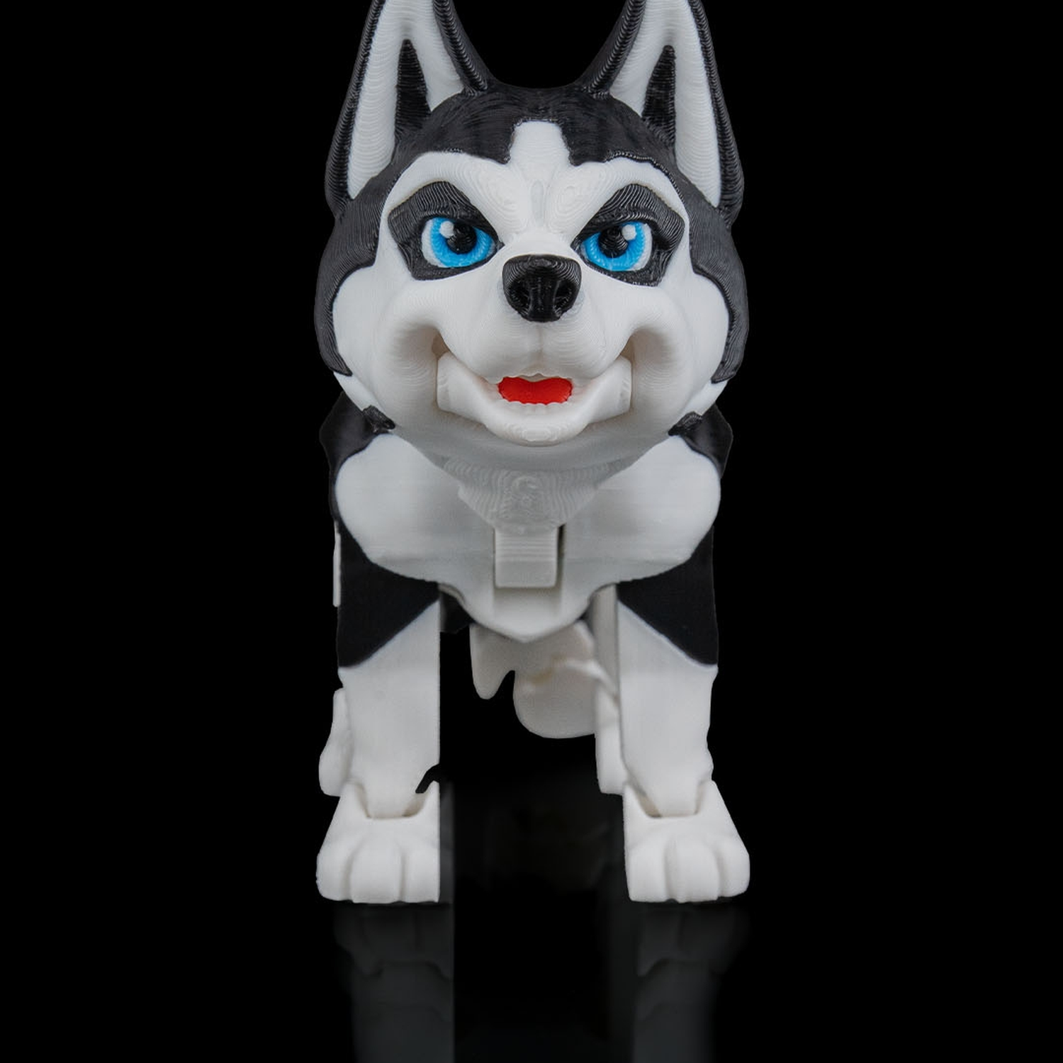Maya, the Husky