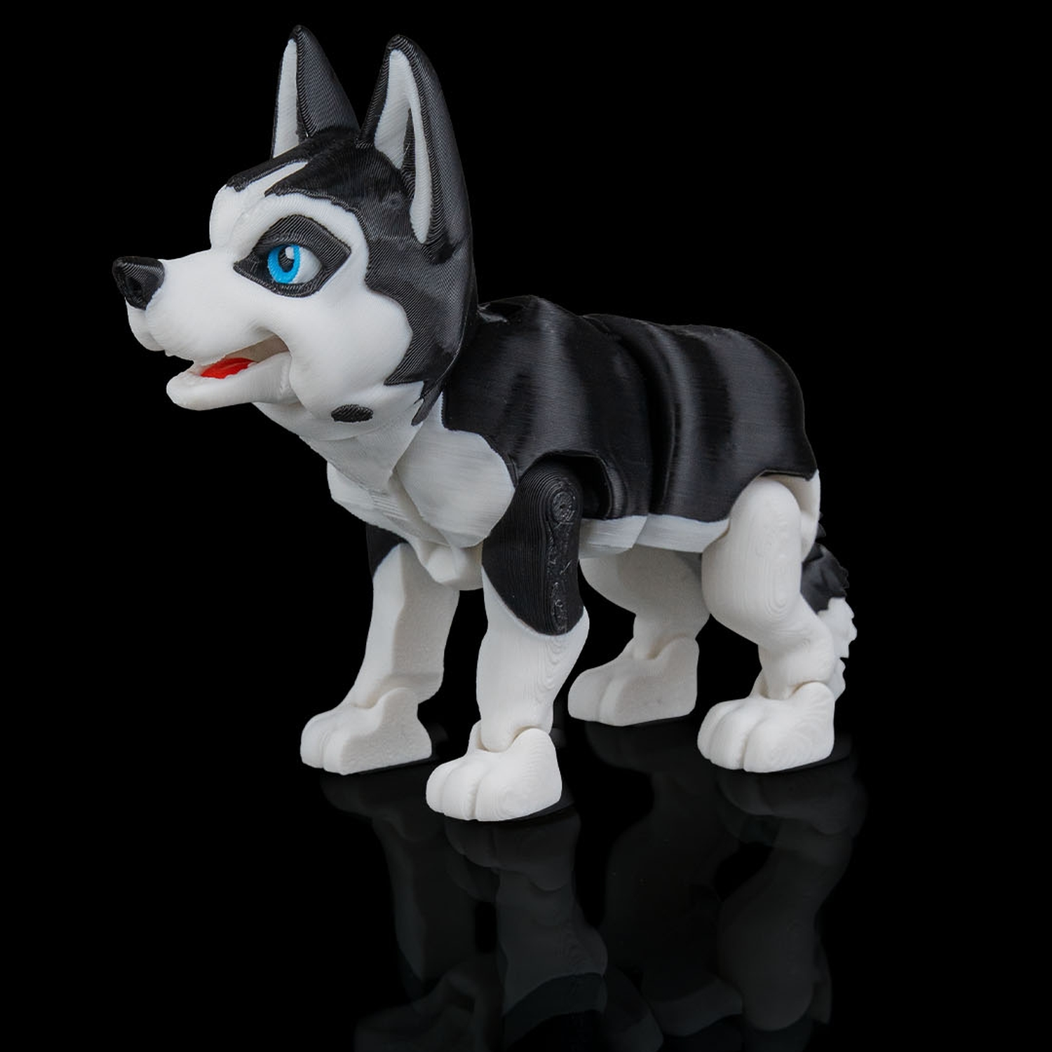 Maya, the Husky
