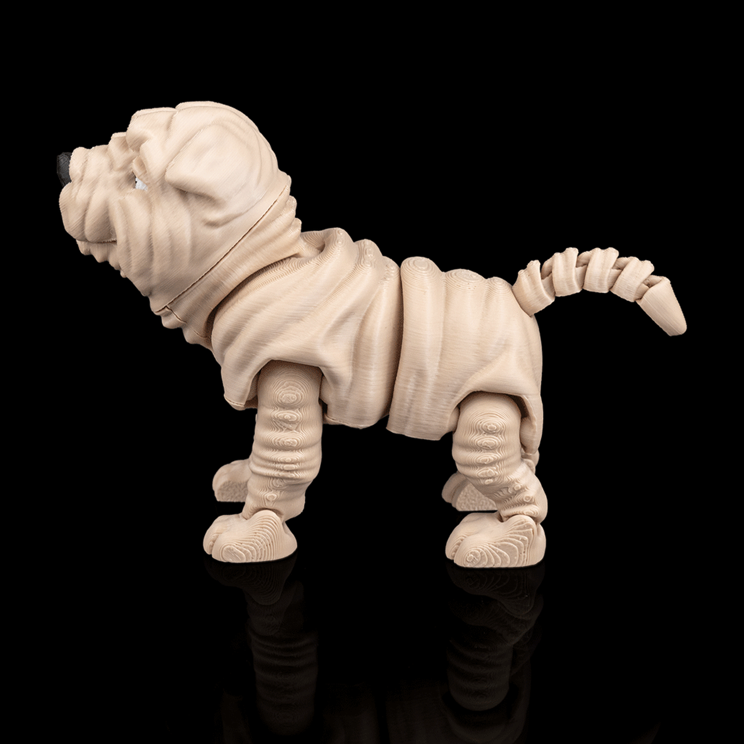 Louis, the Shar Pei