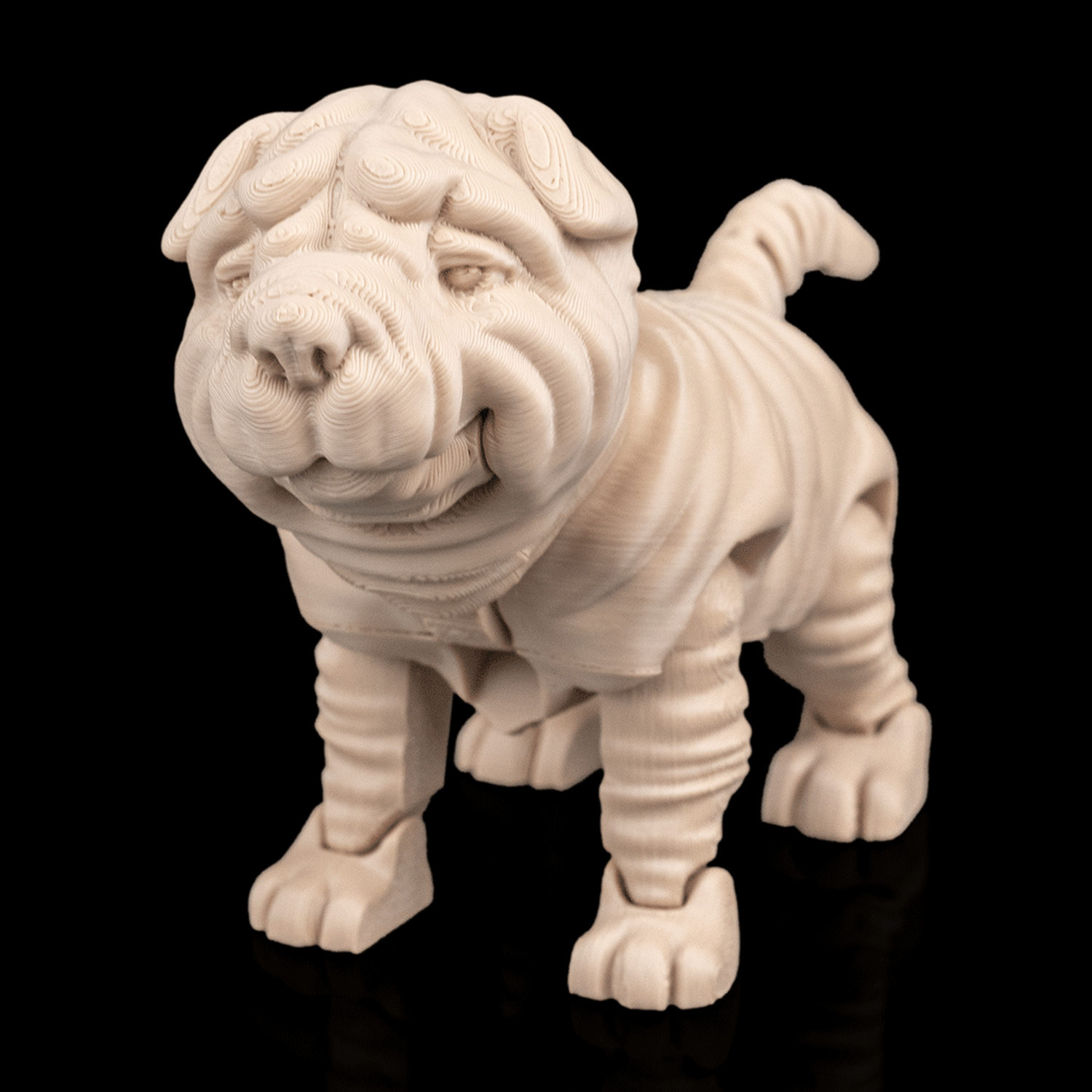 Louis, the Shar Pei