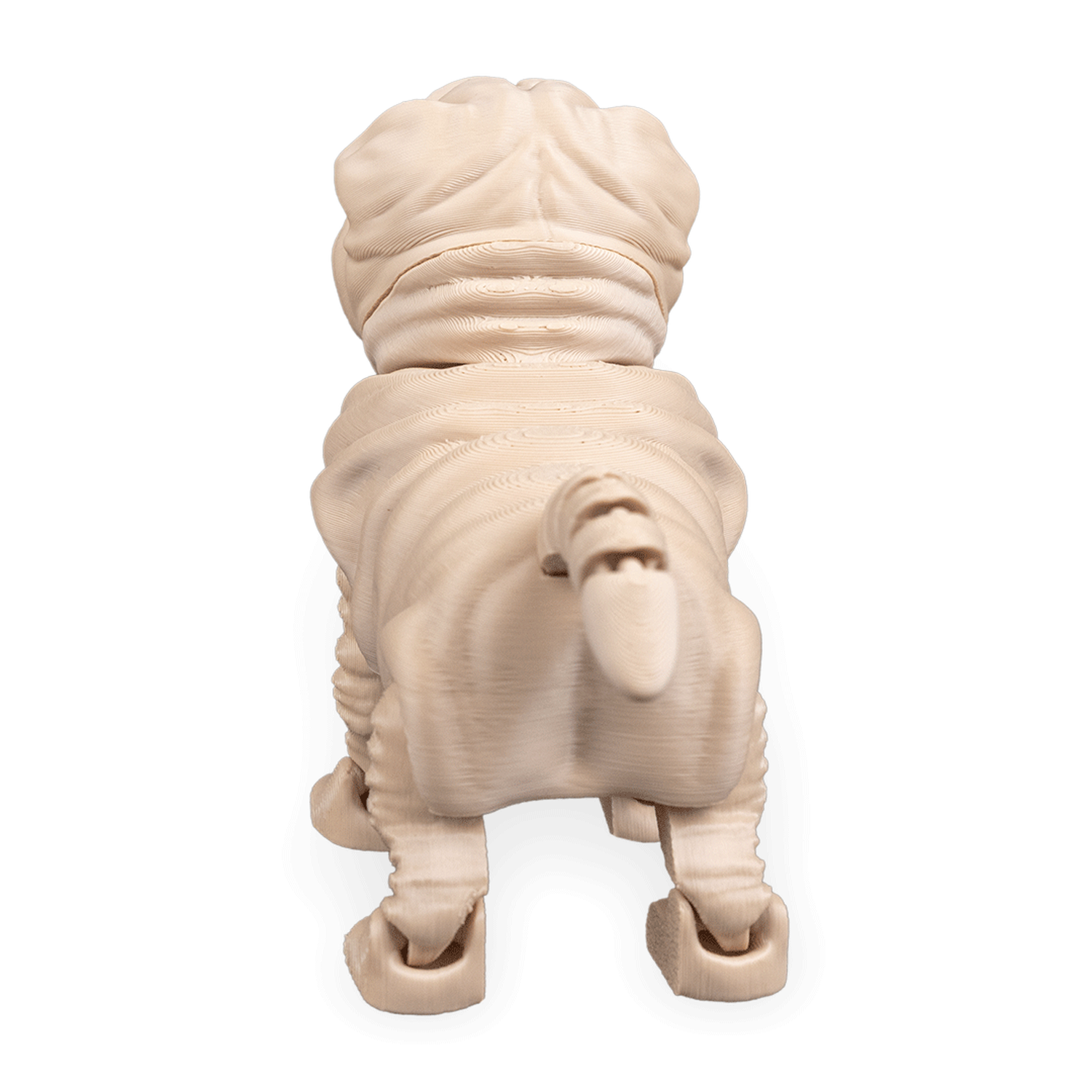 Louis, the Shar Pei