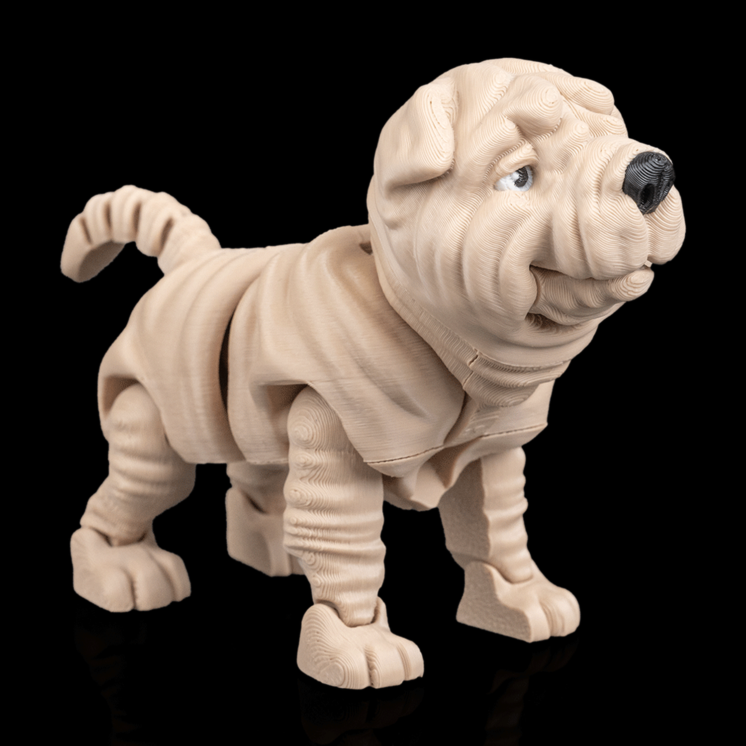 Louis, the Shar Pei