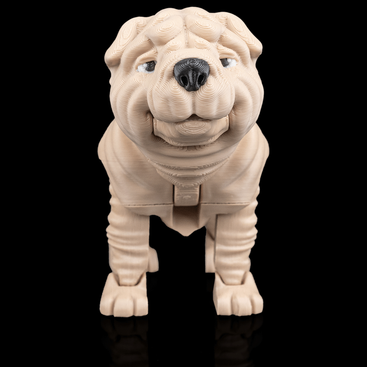Louis, the Shar Pei