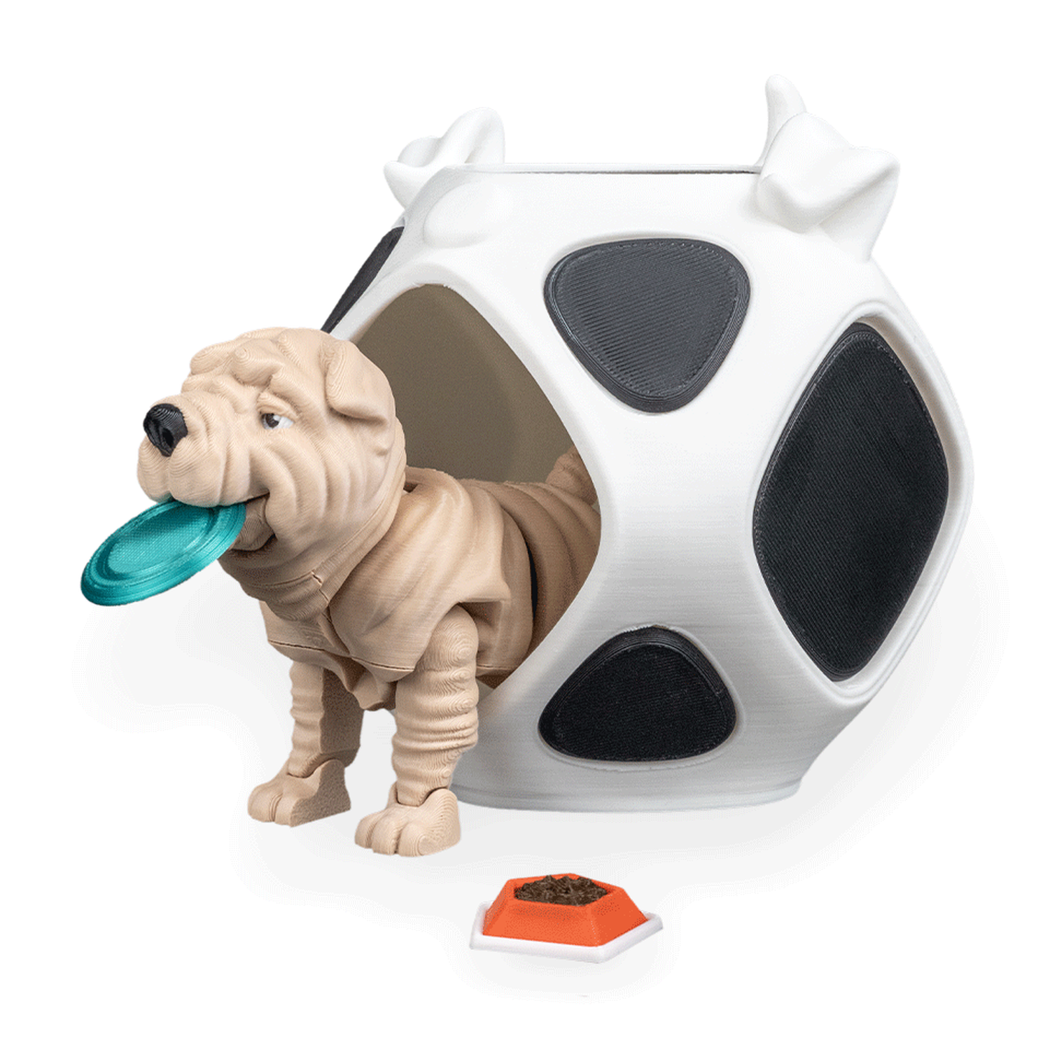 Louis, the Shar Pei