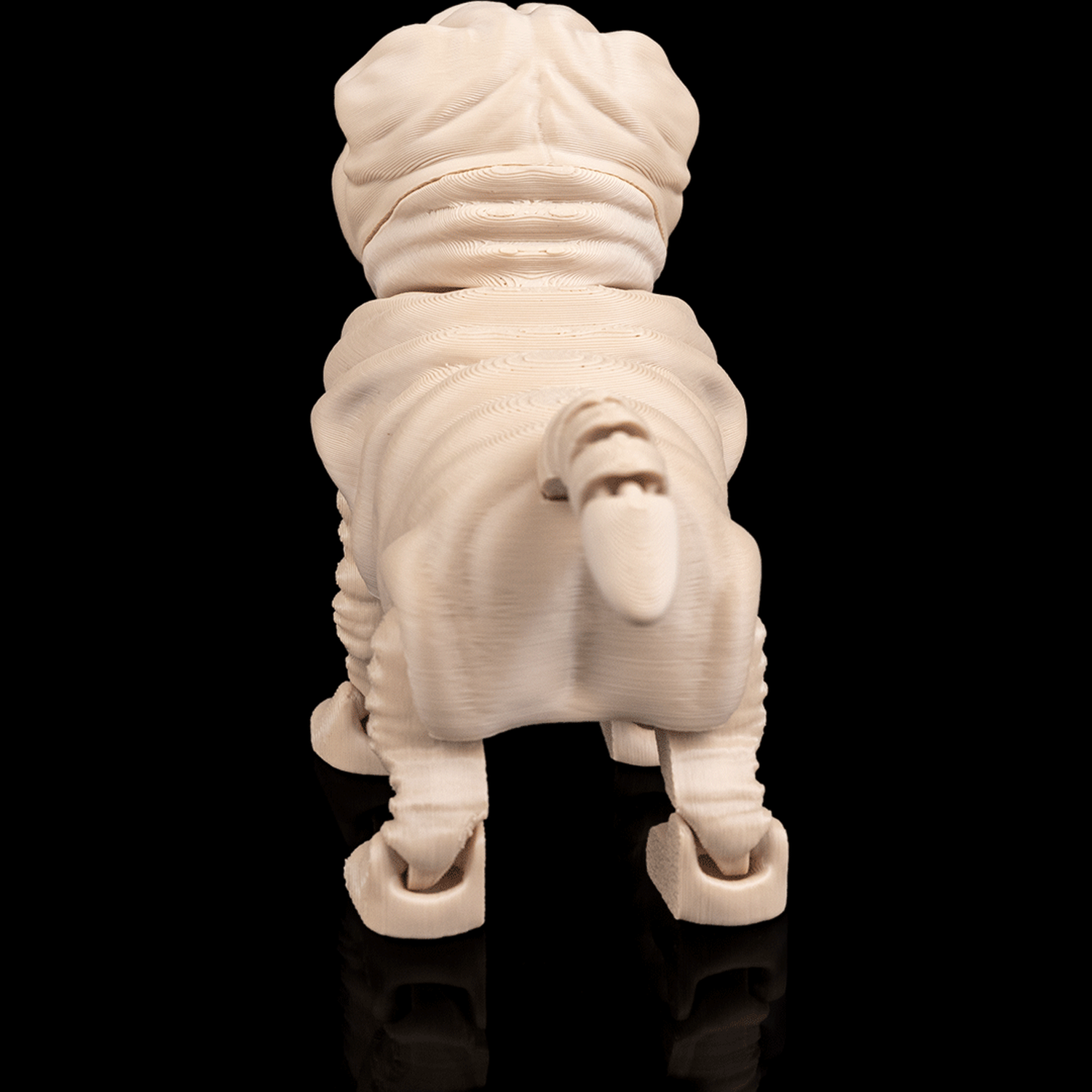 Louis, the Shar Pei