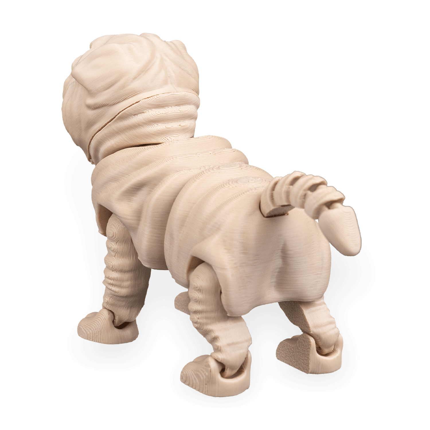 Louis, the Shar Pei