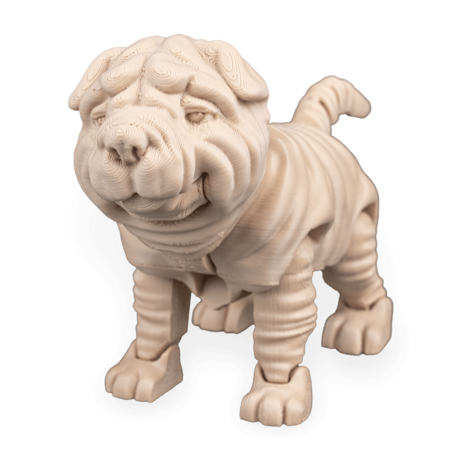 Louis, the Shar Pei