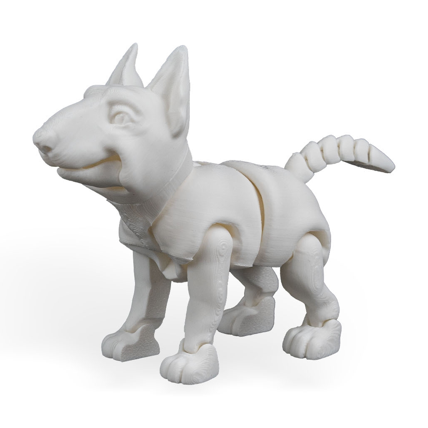 Rex, the Bull Terrier