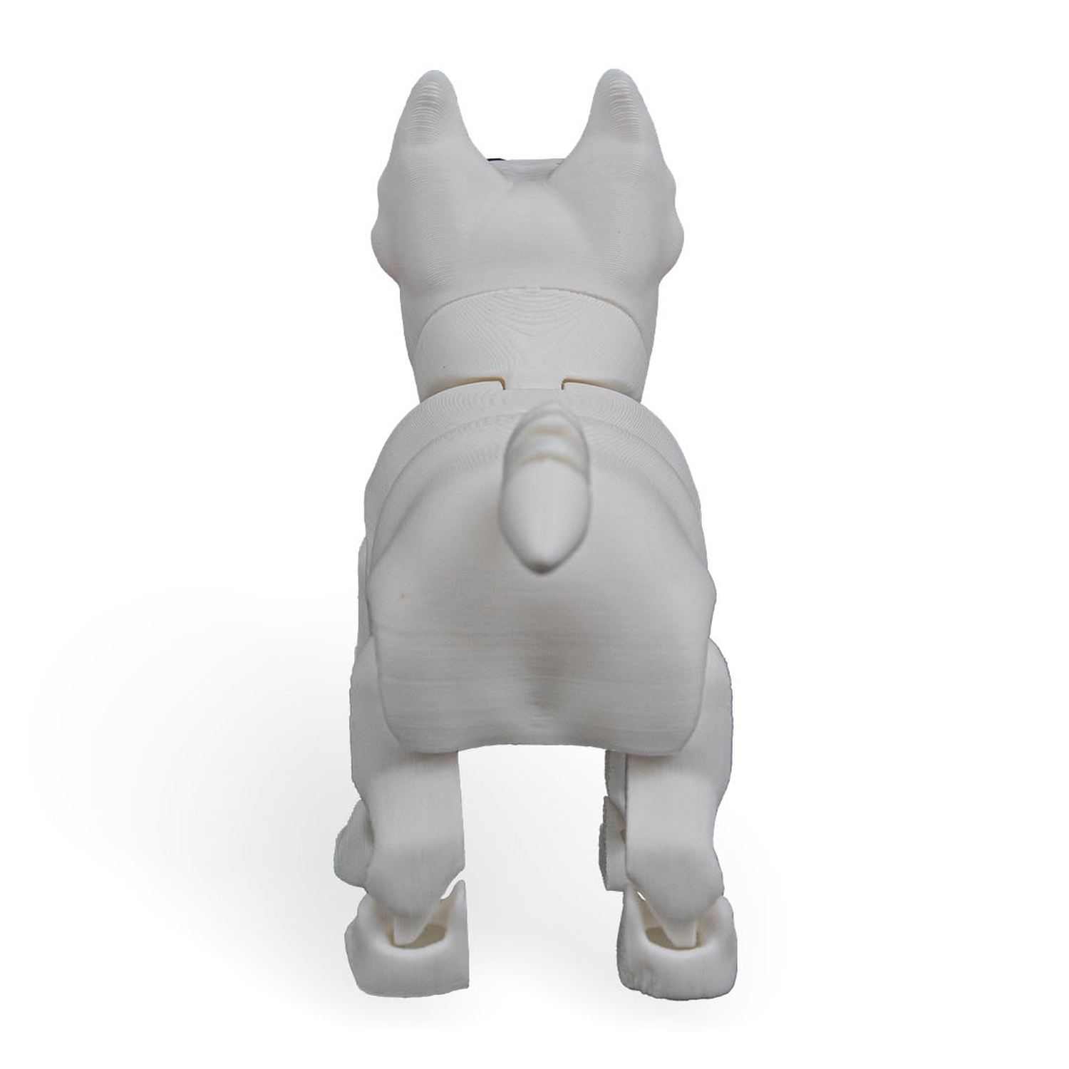 Rex, the Bull Terrier