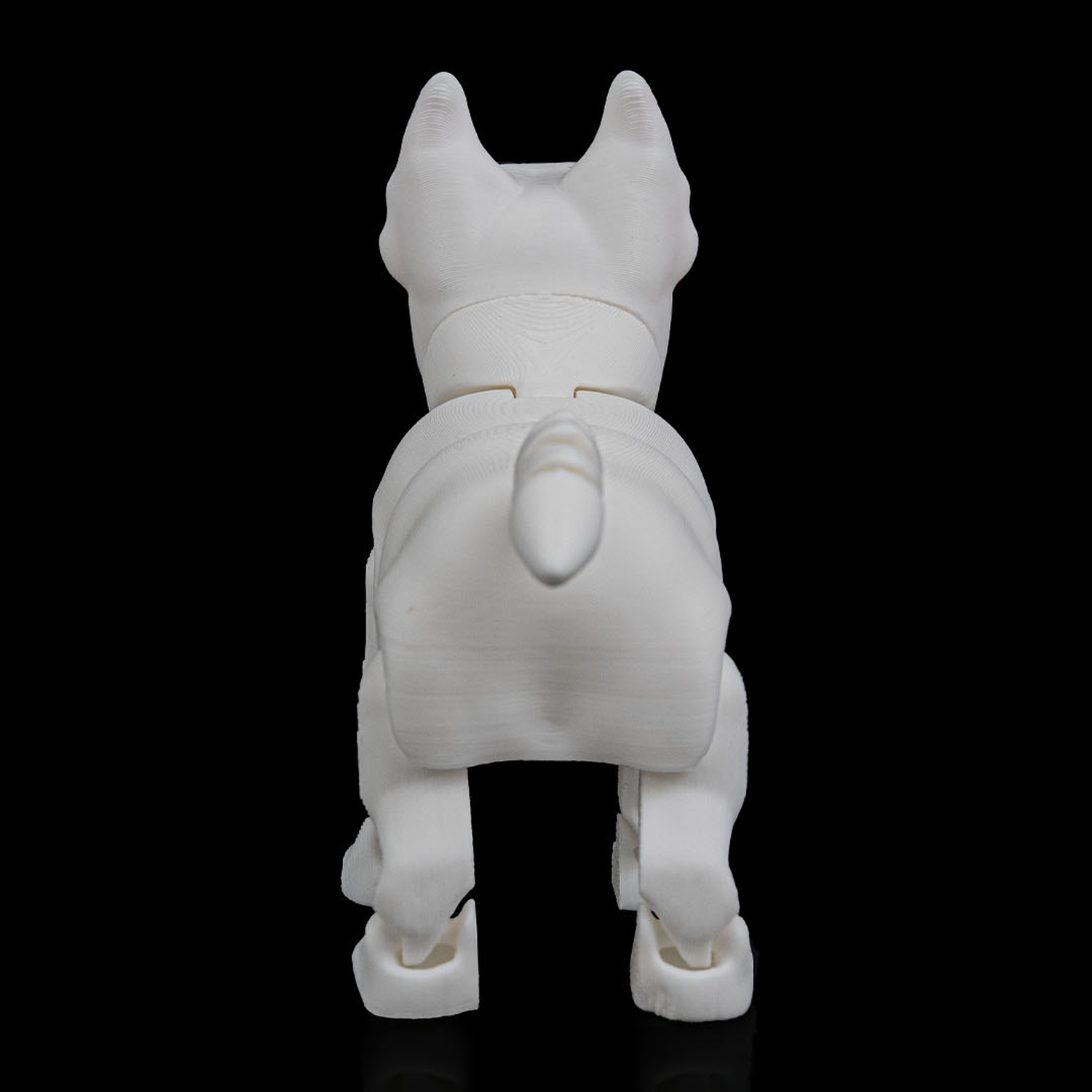 Rex, the Bull Terrier