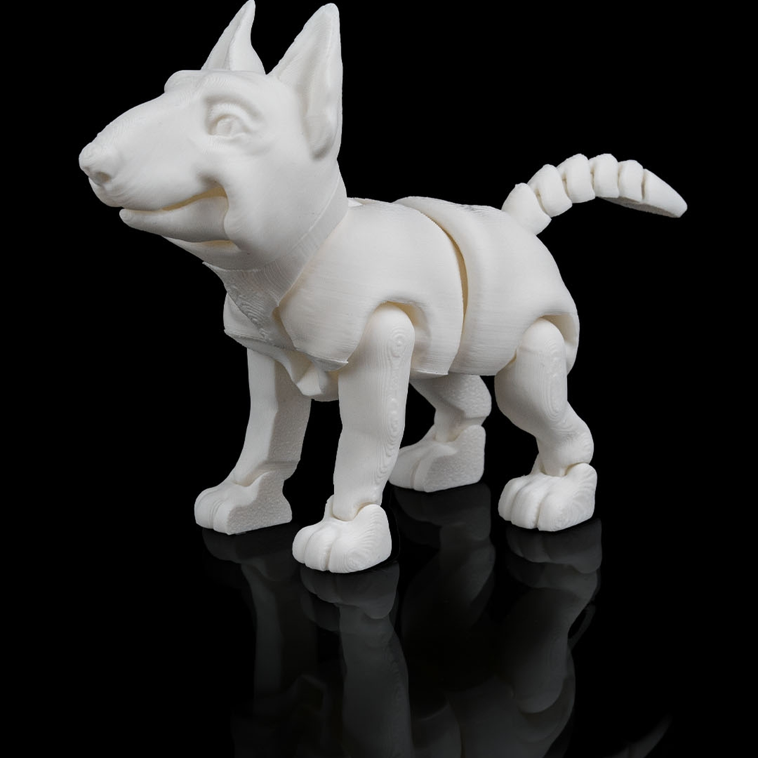 Rex, the Bull Terrier