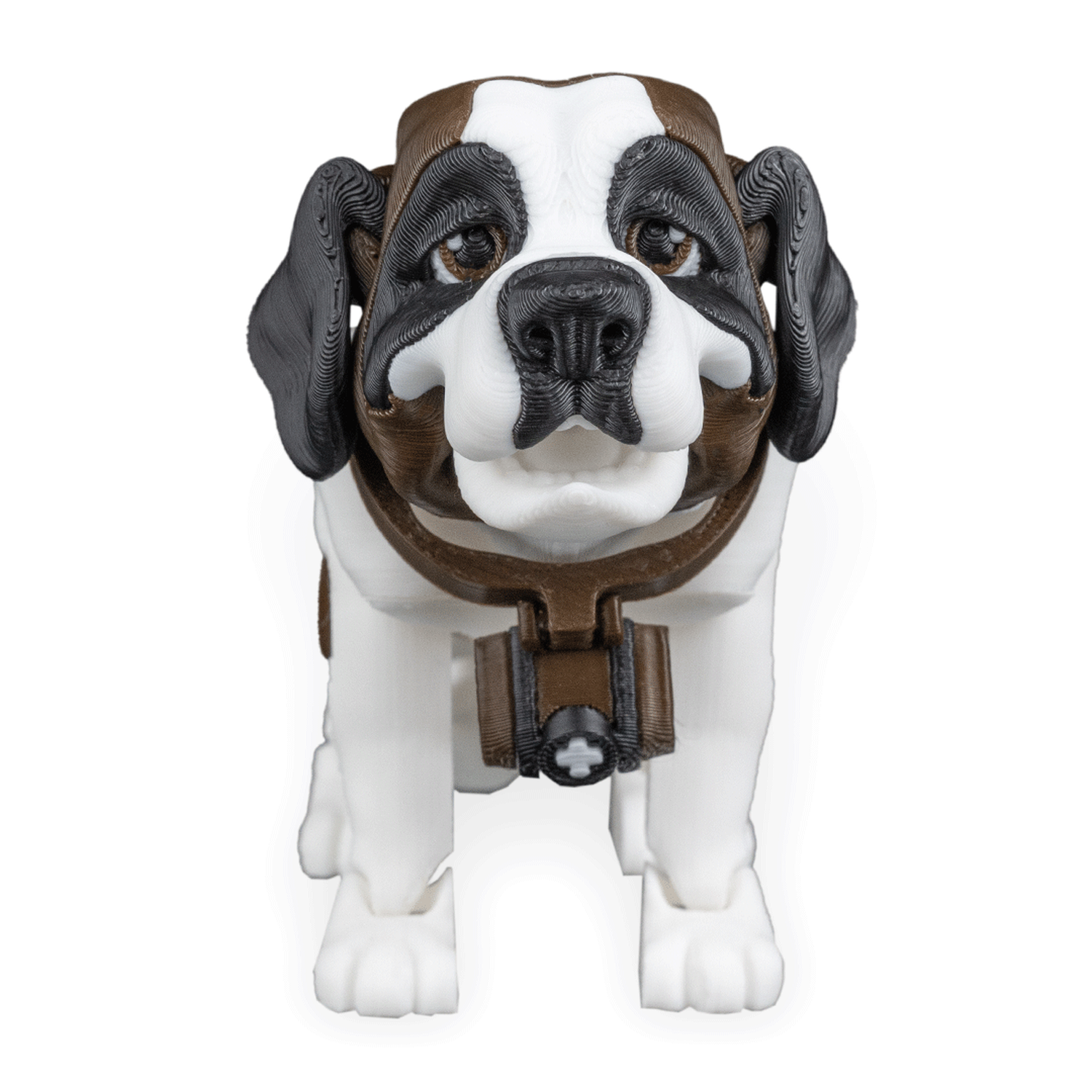 Bernie, the St. Bernard