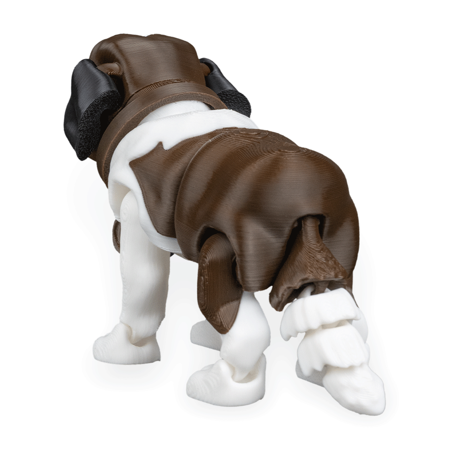 Bernie, the St. Bernard
