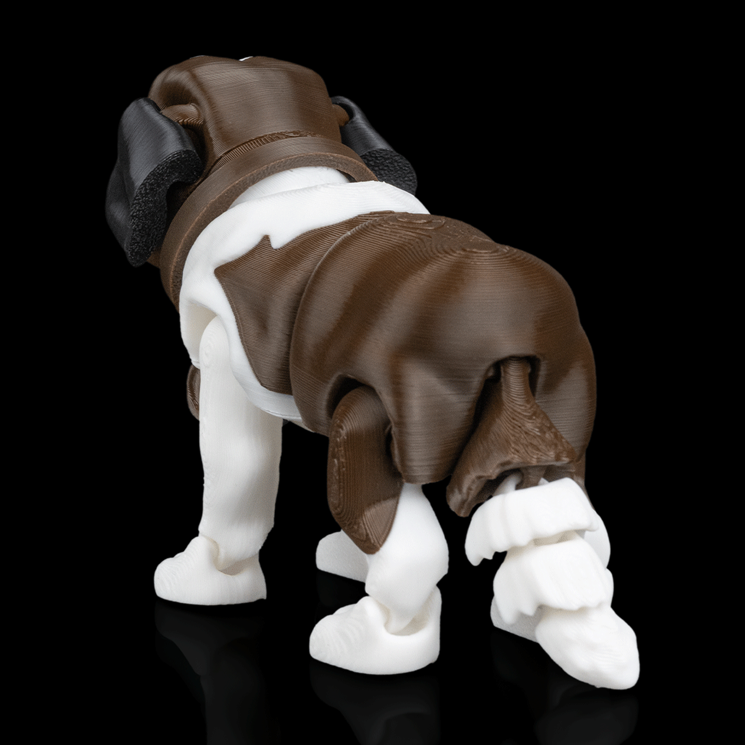 Bernie, the St. Bernard