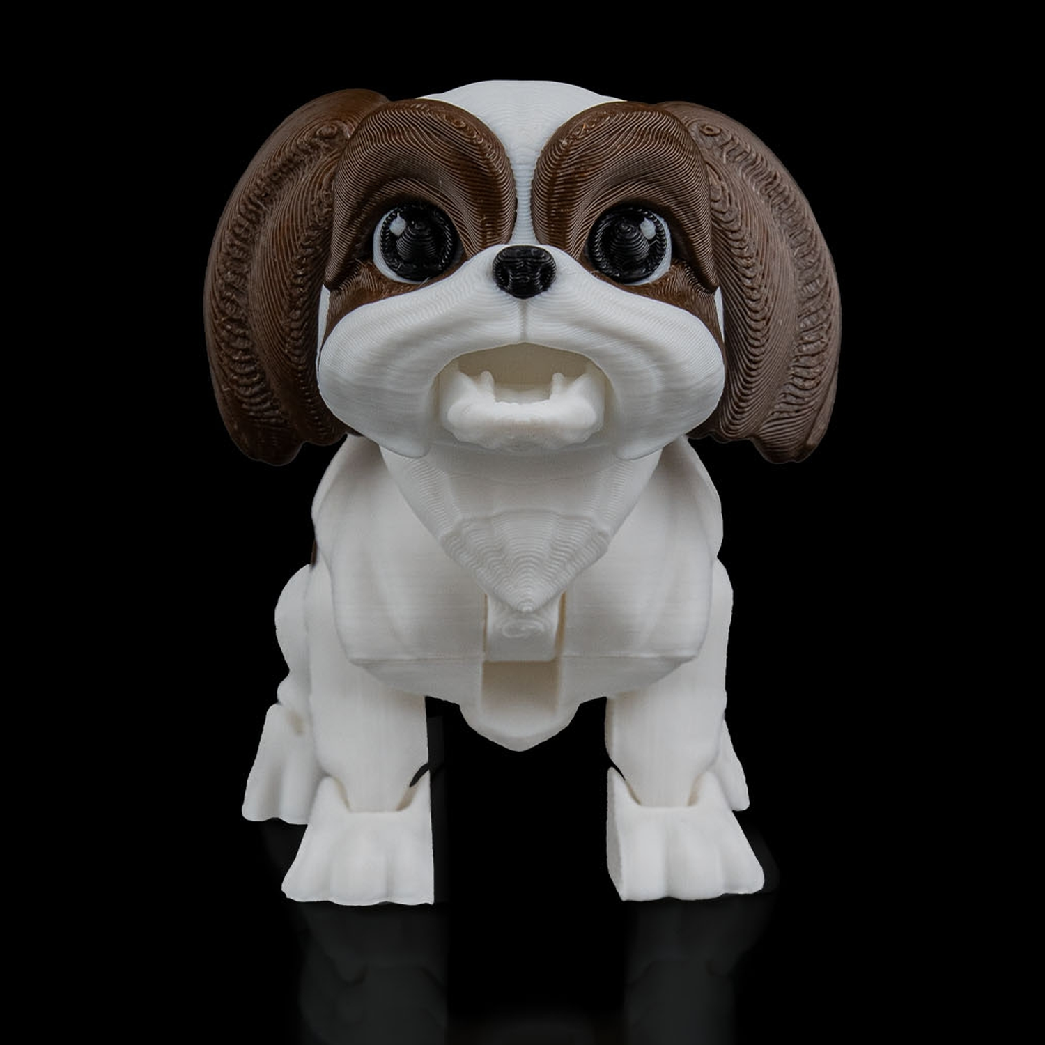 Rachel, the Shih Tzu