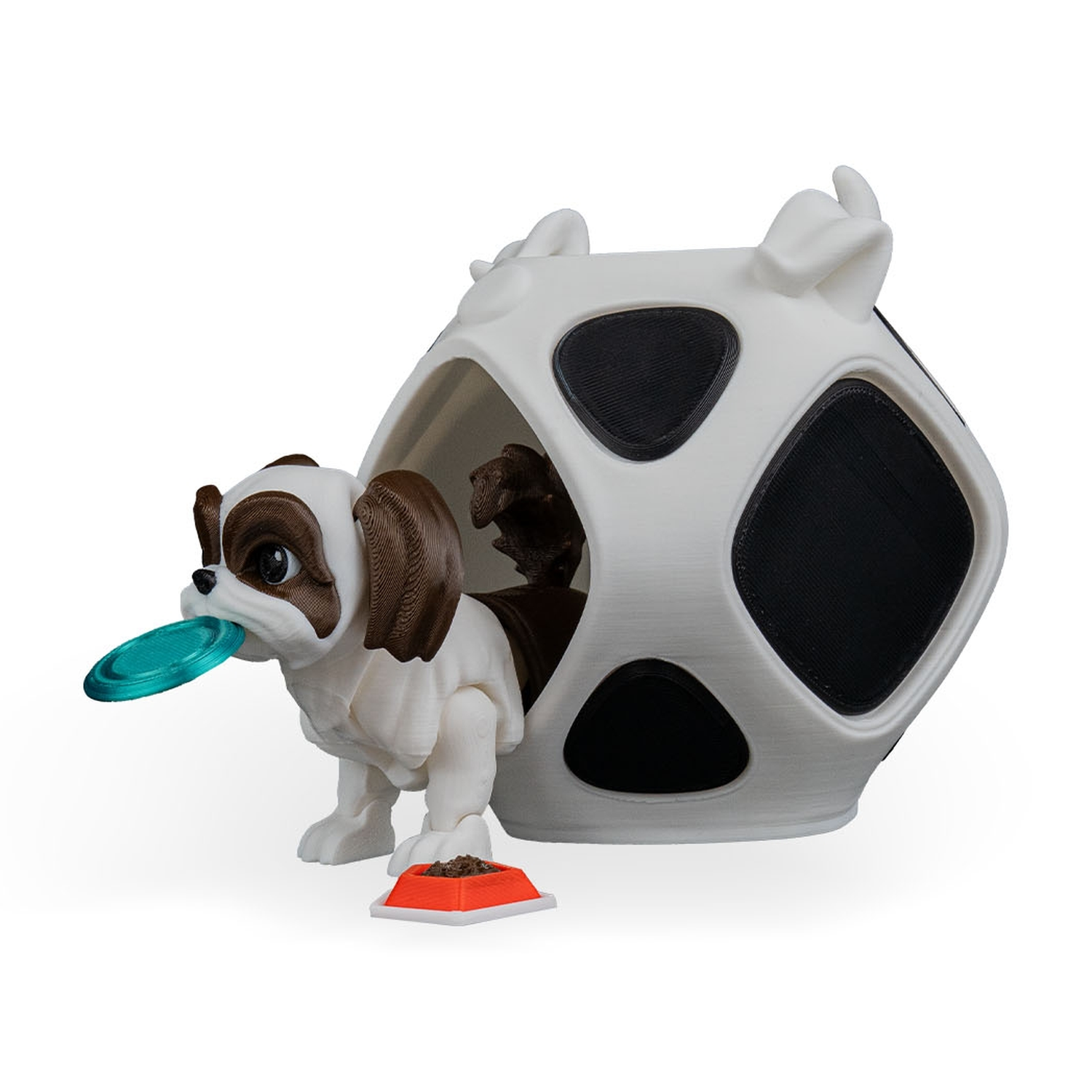 Rachel, the Shih Tzu