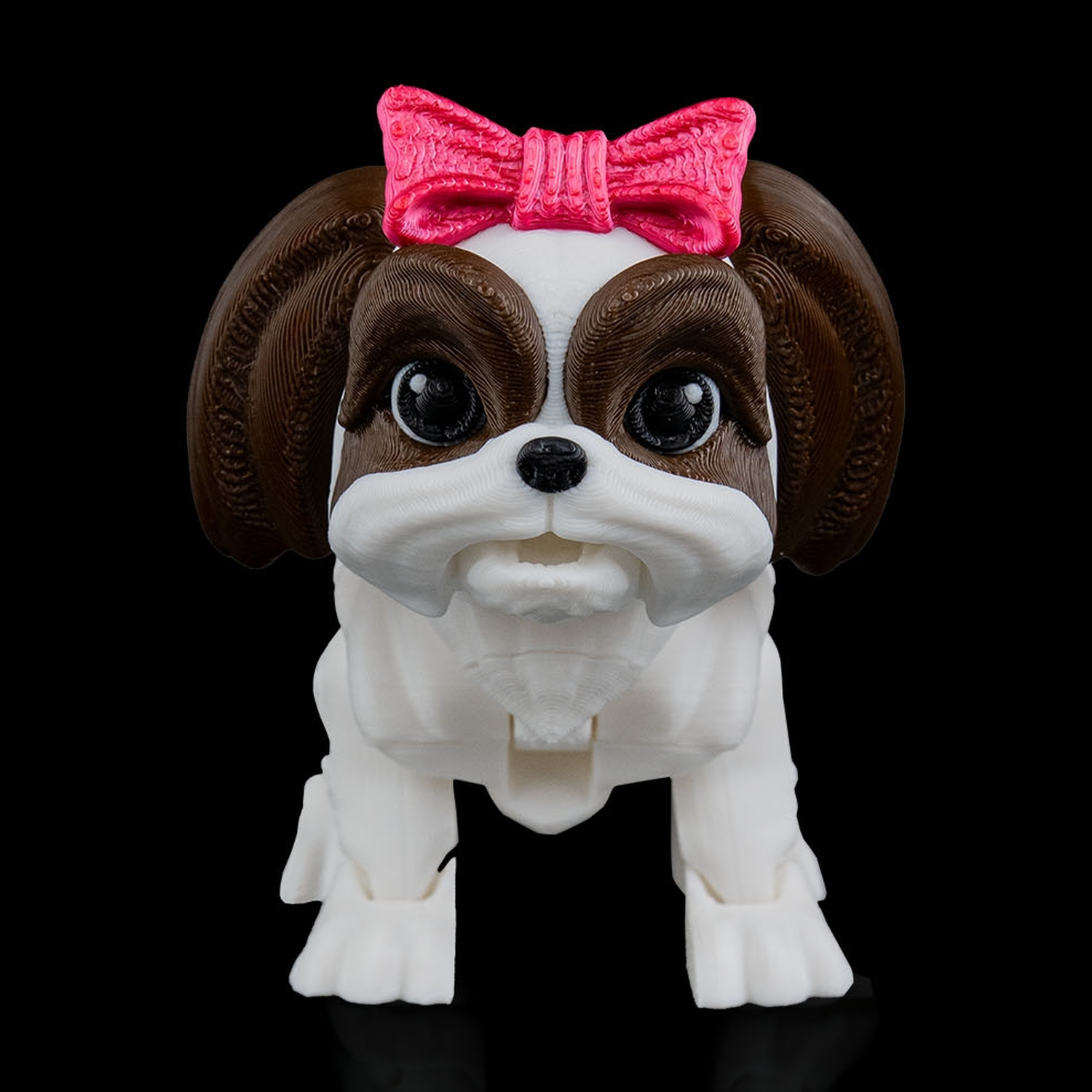Rachel, the Shih Tzu