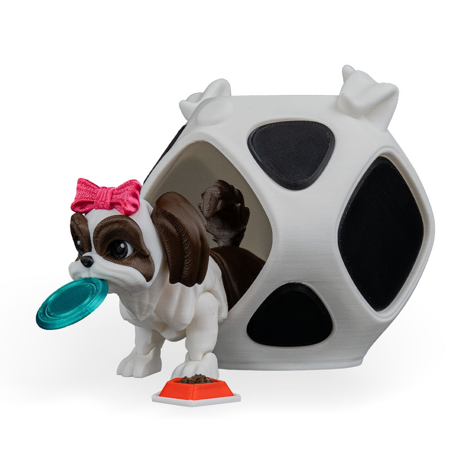 Rachel, the Shih Tzu