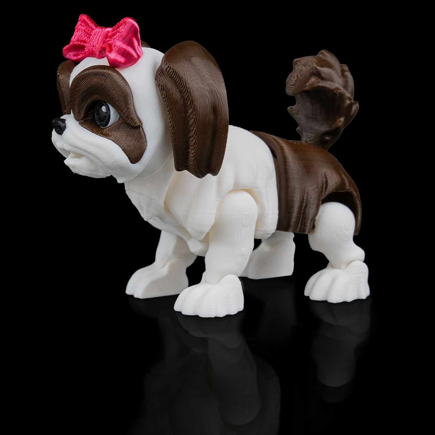 Rachel, the Shih Tzu