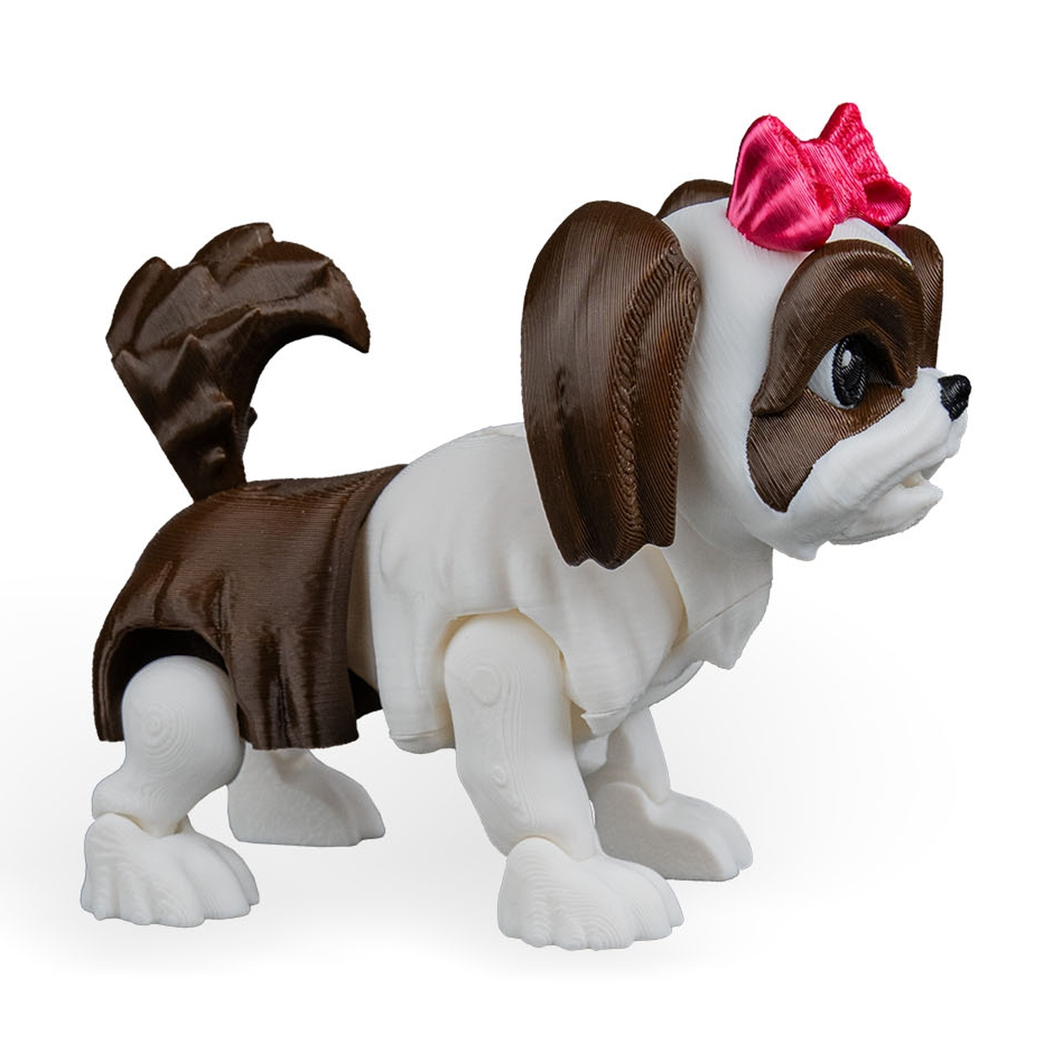 Rachel, the Shih Tzu
