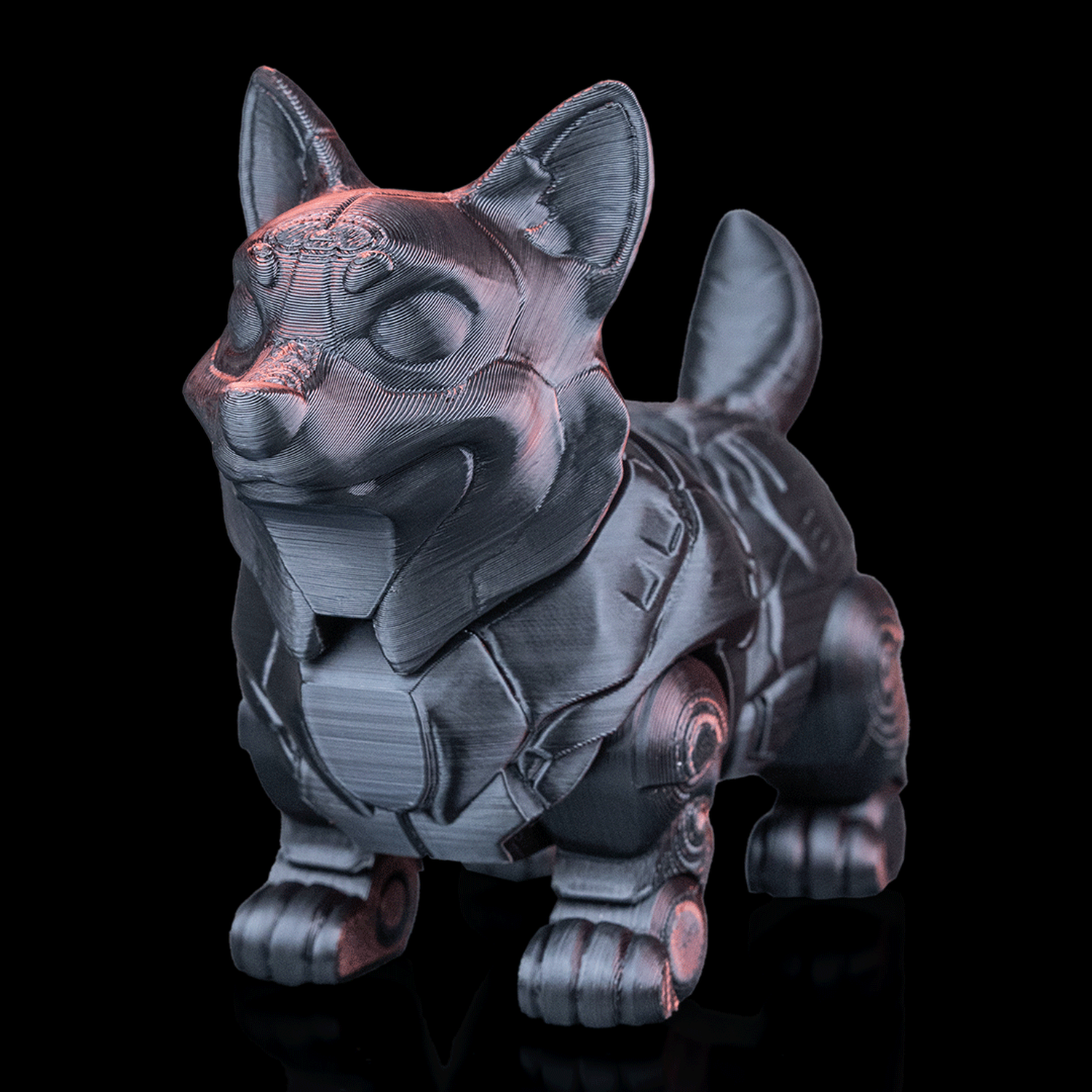 C0-R61 "TerraGuardian"