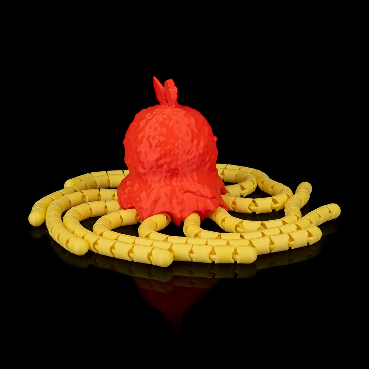 Spaghettopus