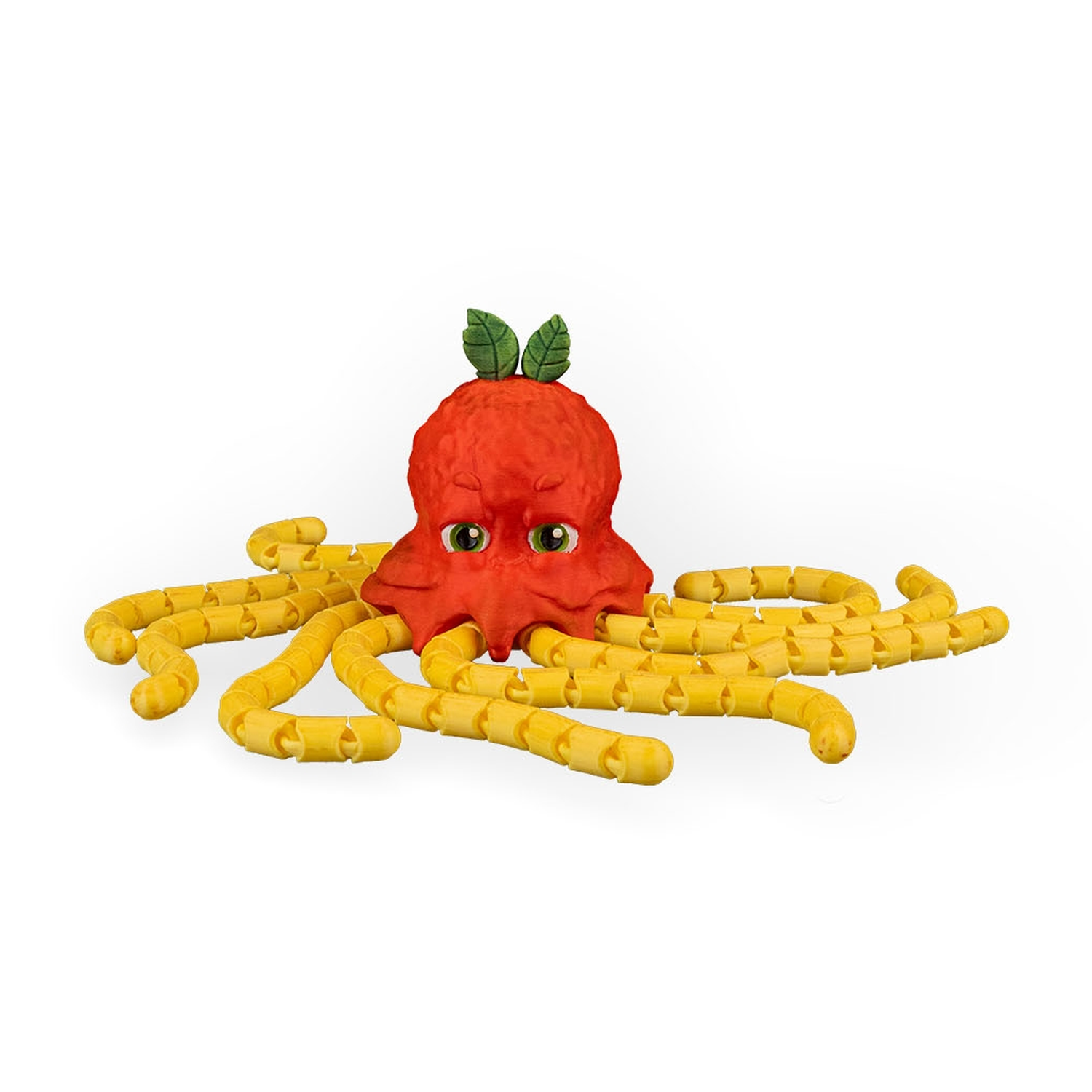 Spaghettopus