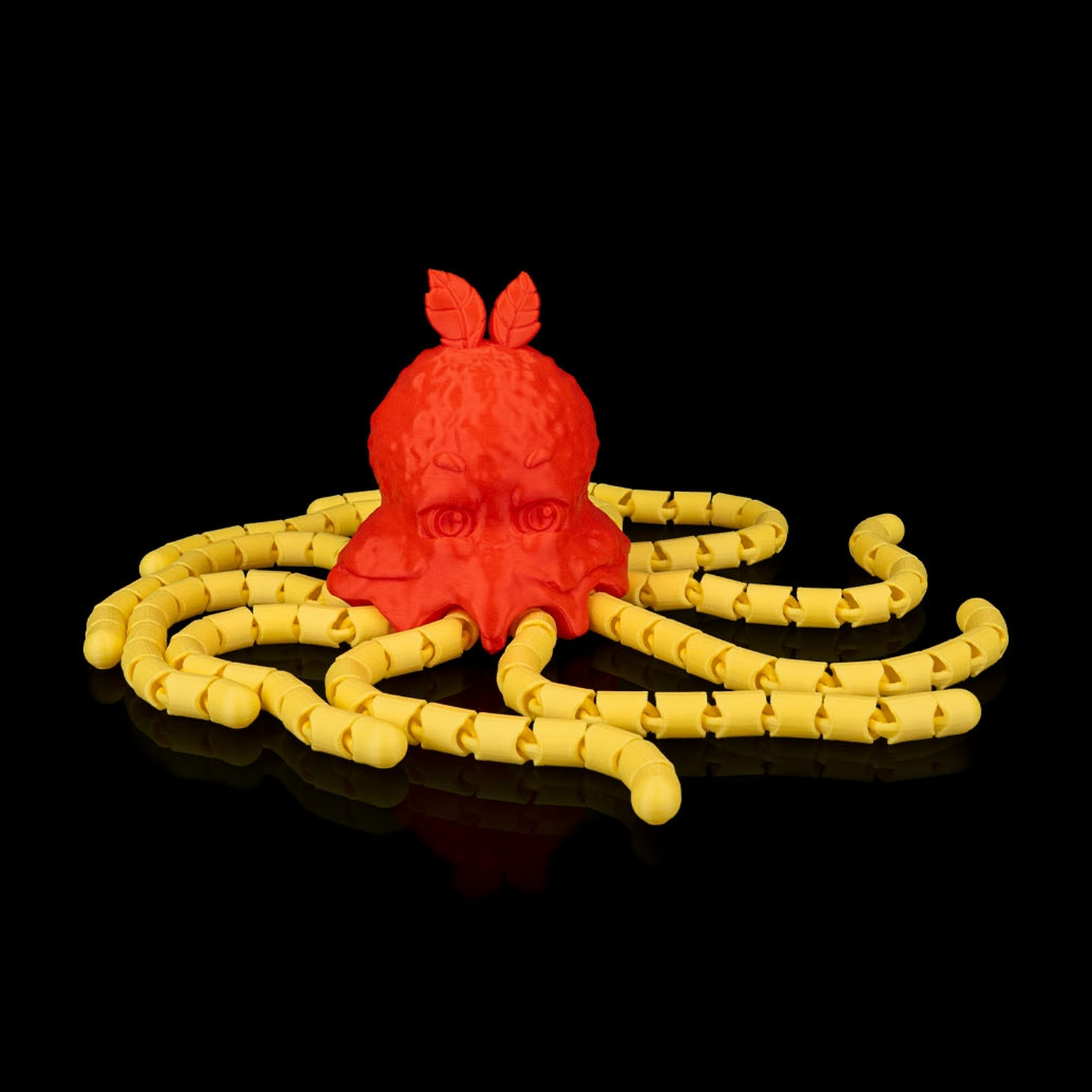 Spaghettopus