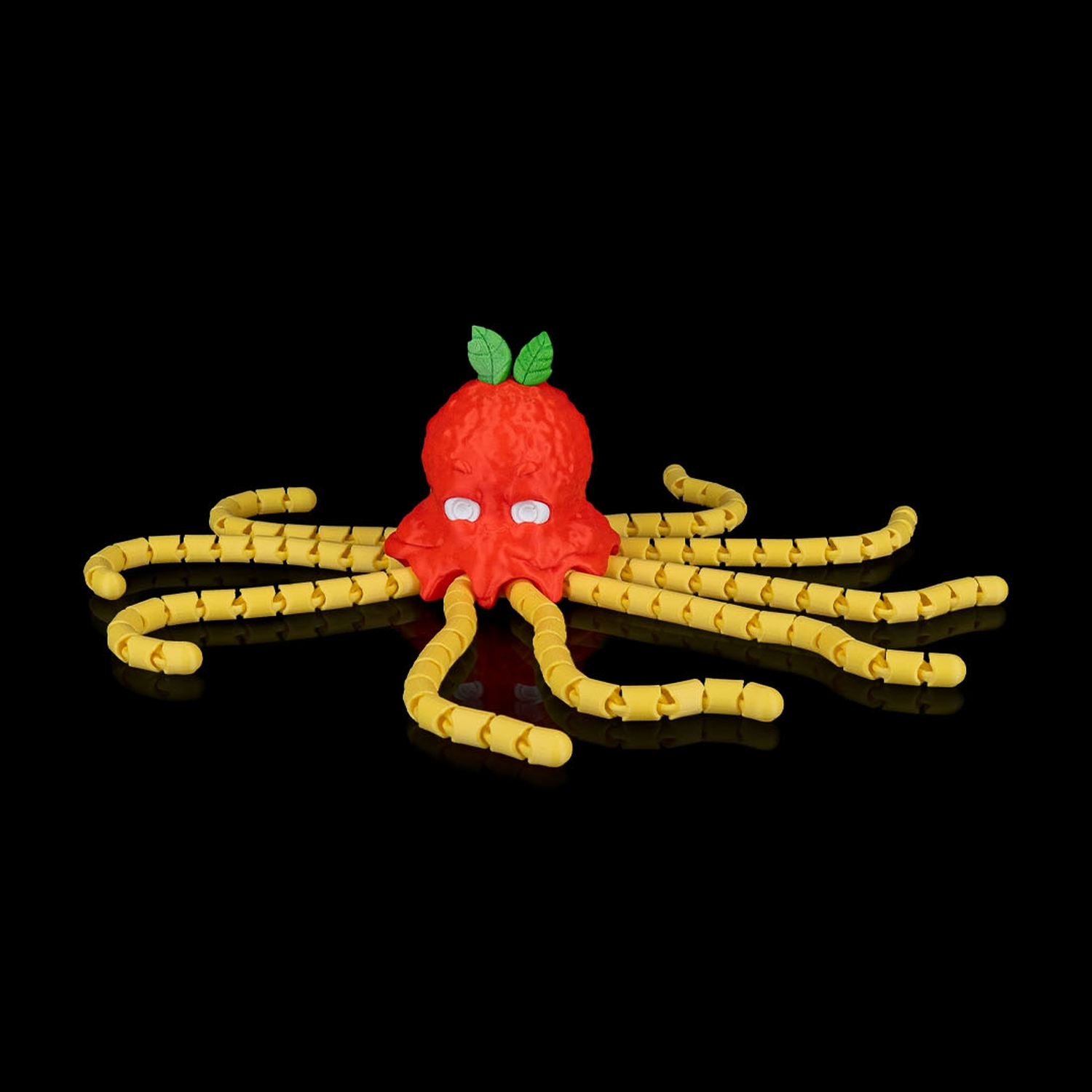 Spaghettopus