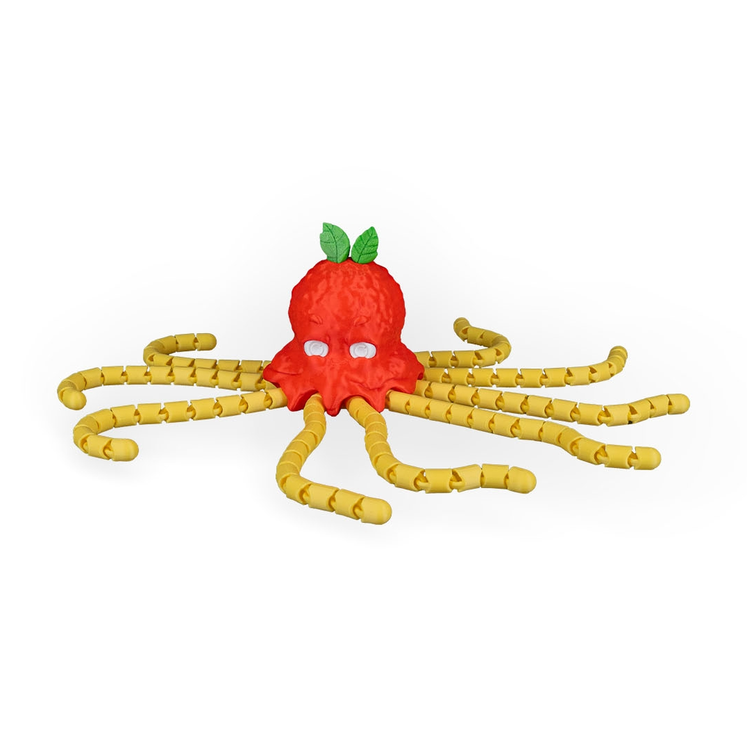 Spaghettopus