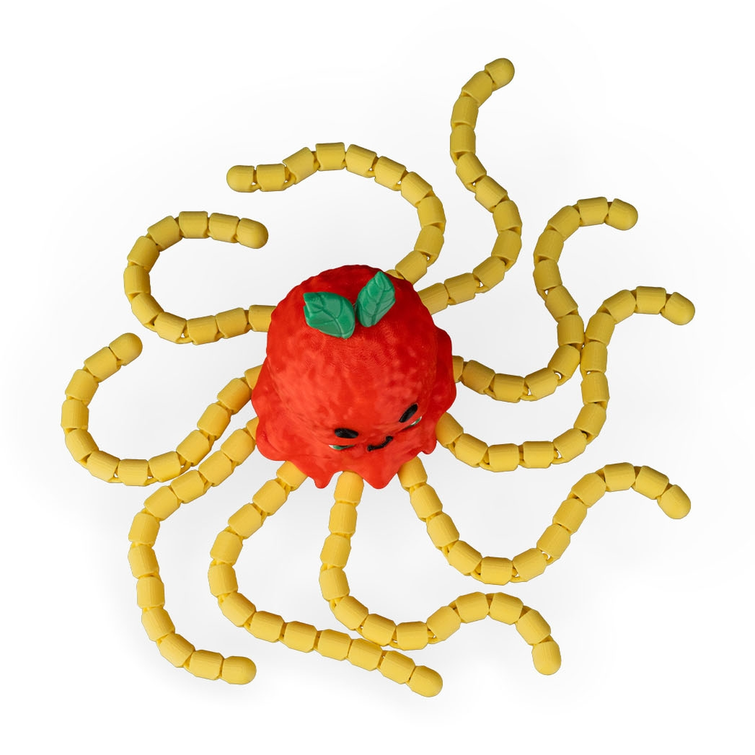 Spaghettopus