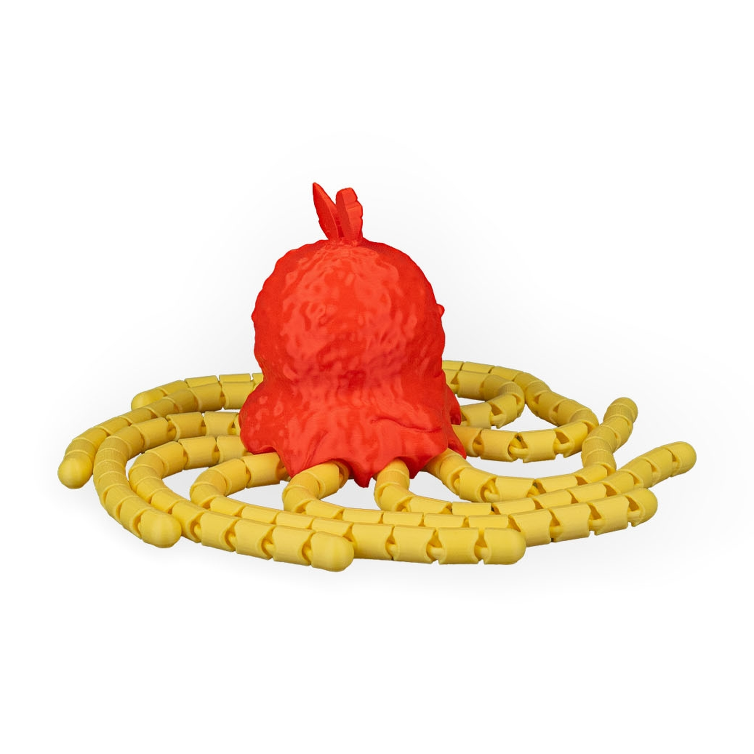 Spaghettopus
