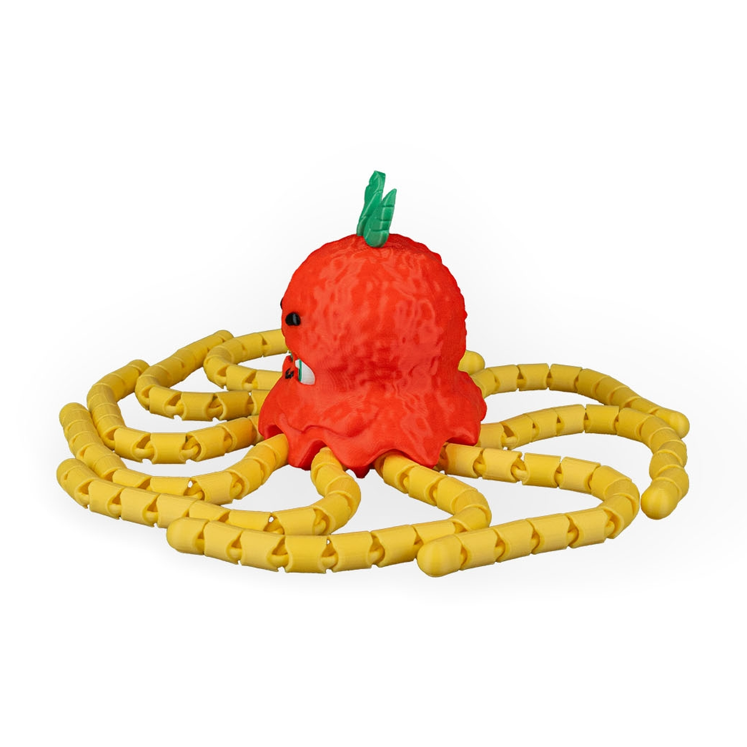 Spaghettopus