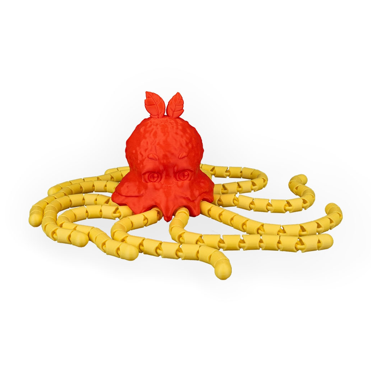 Spaghettopus