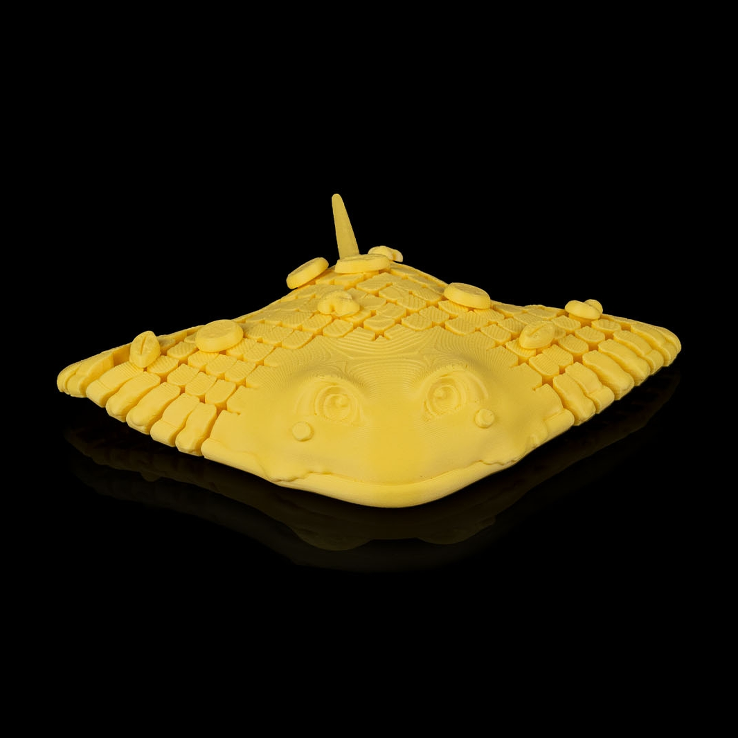 Pizza Ray