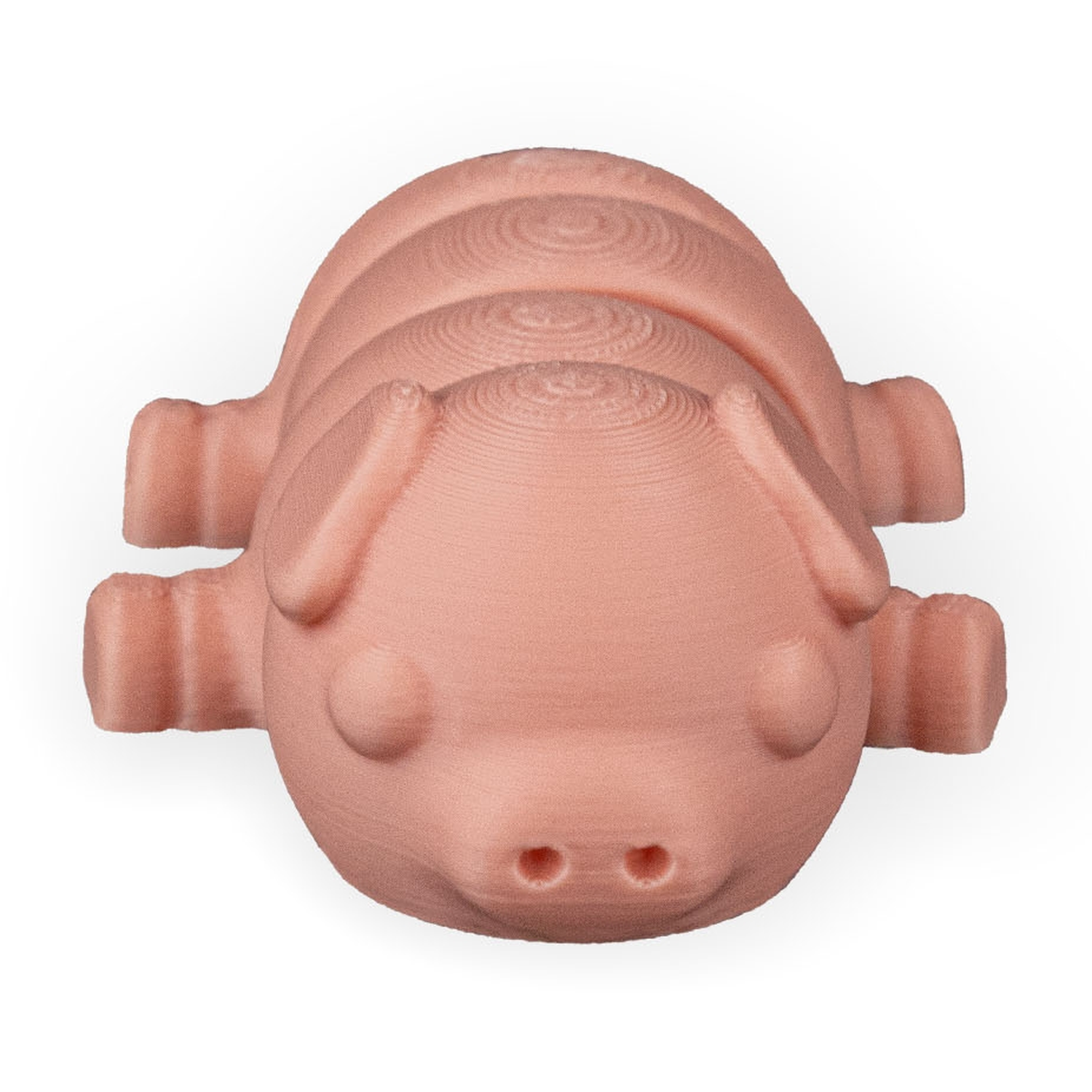 Pig Plop