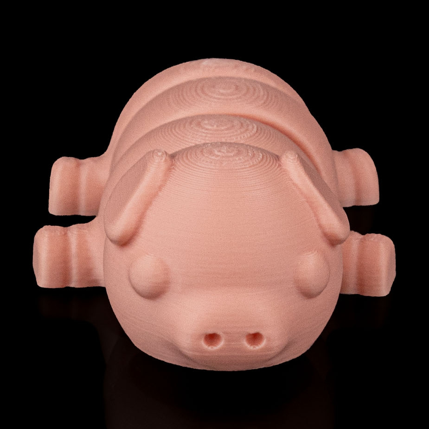 Pig Plop