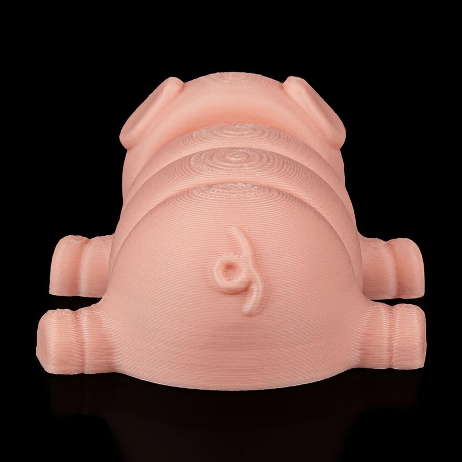 Pig Plop
