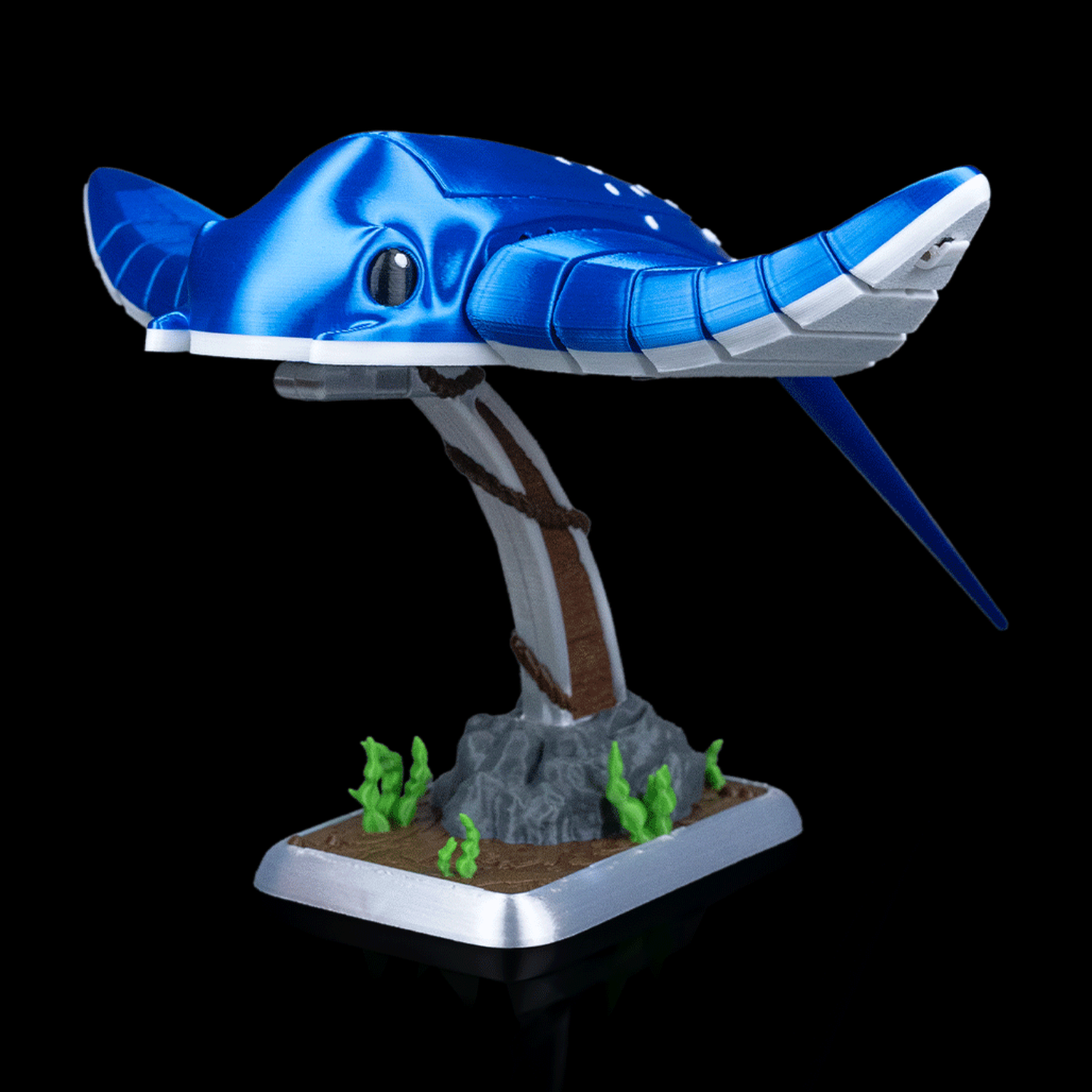 Ray Glide
