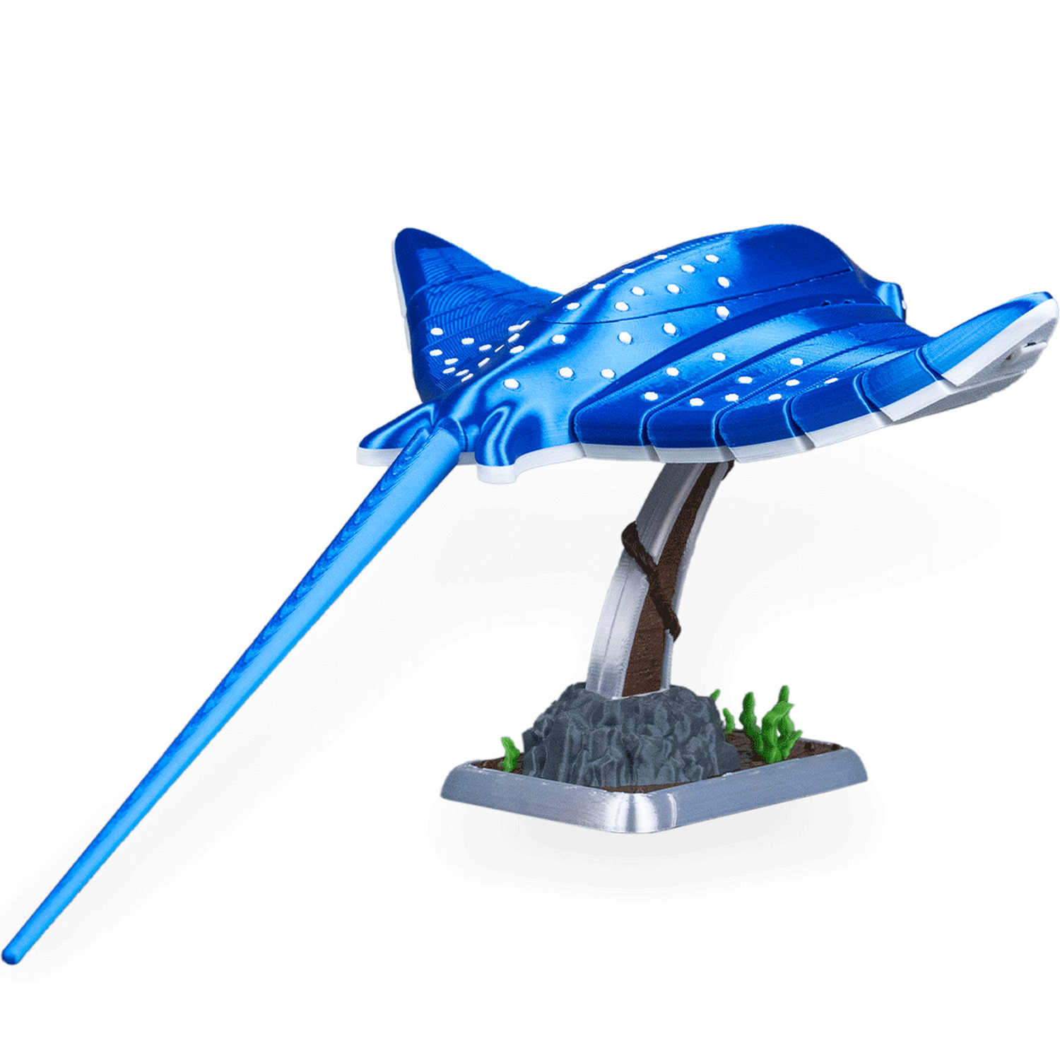 Ray Glide