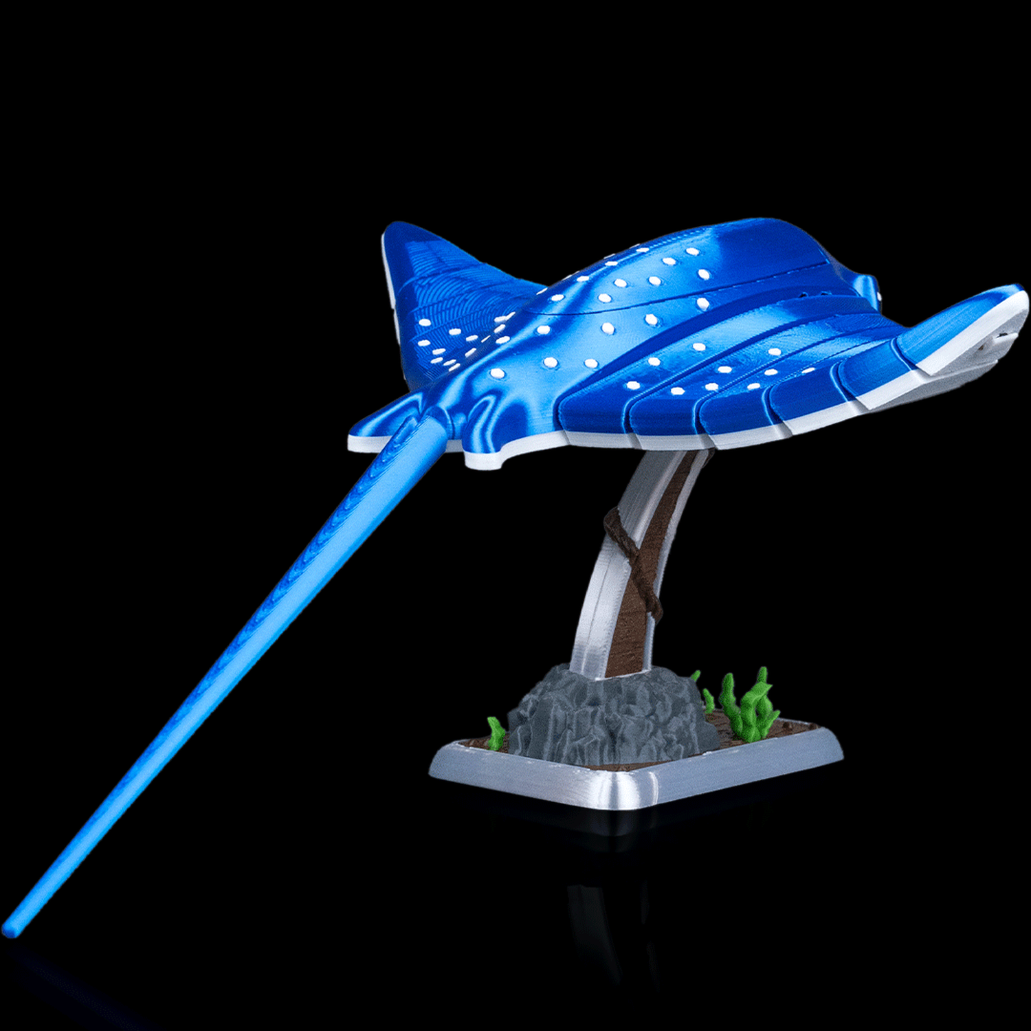 Ray Glide