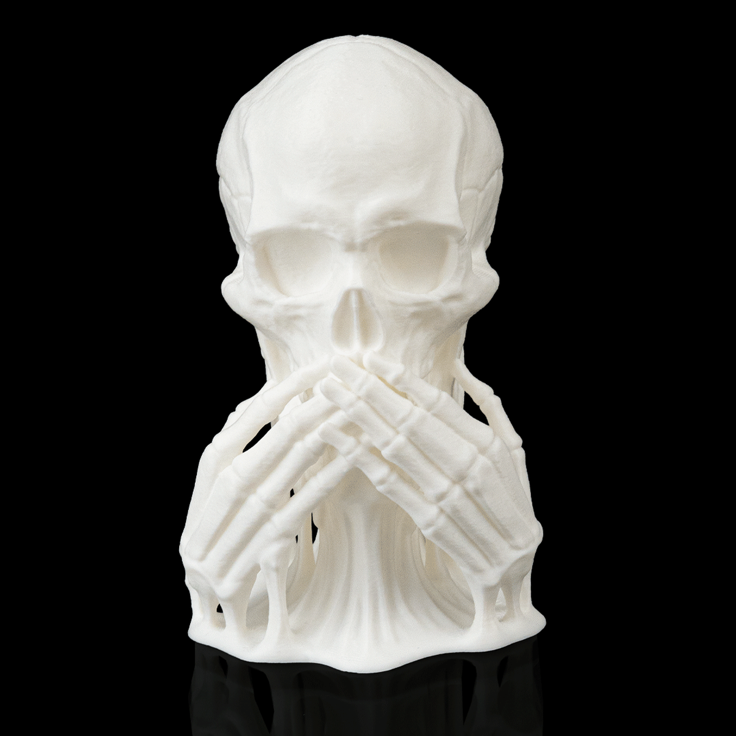 Skulls of Wisdom
