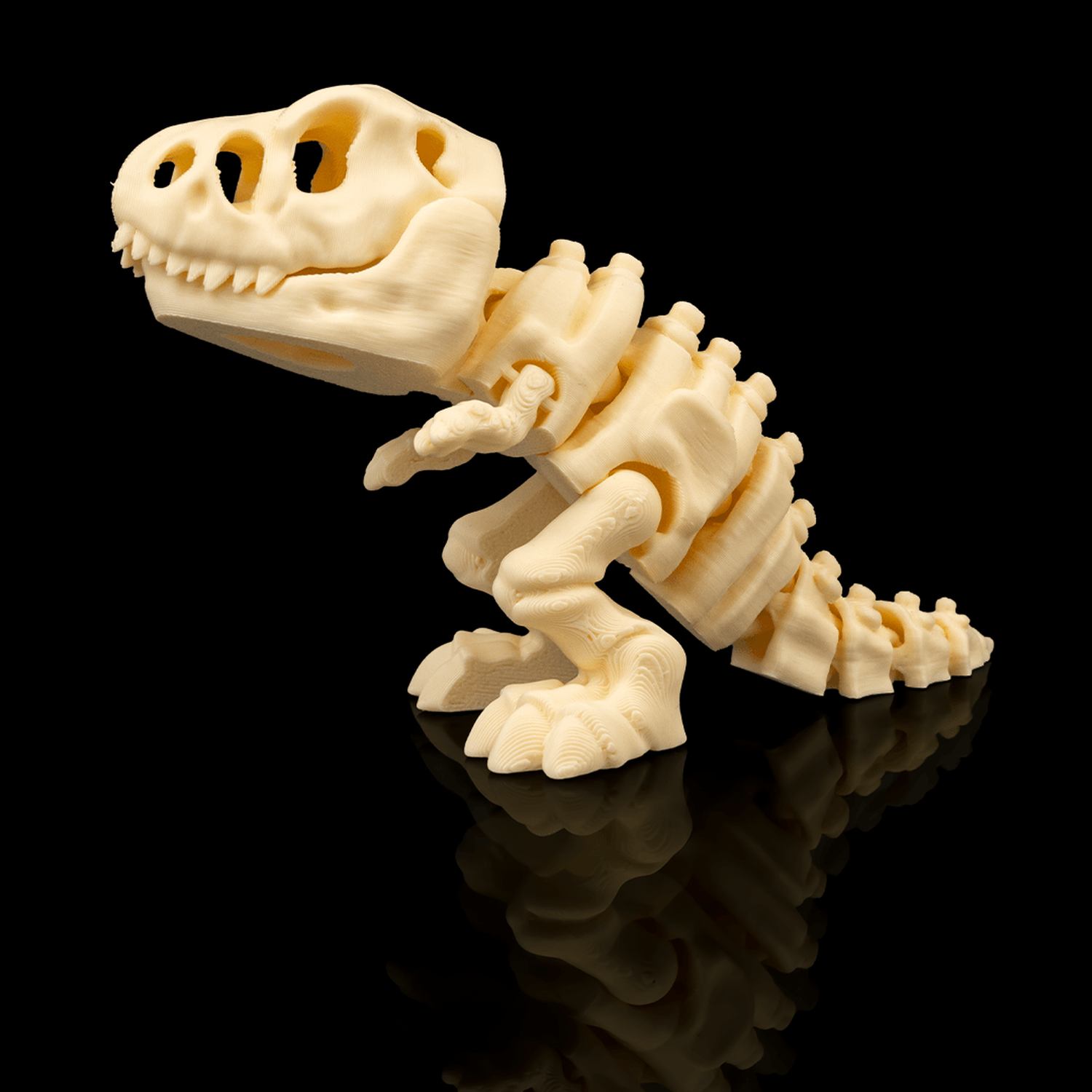 Skeleton T-Rex