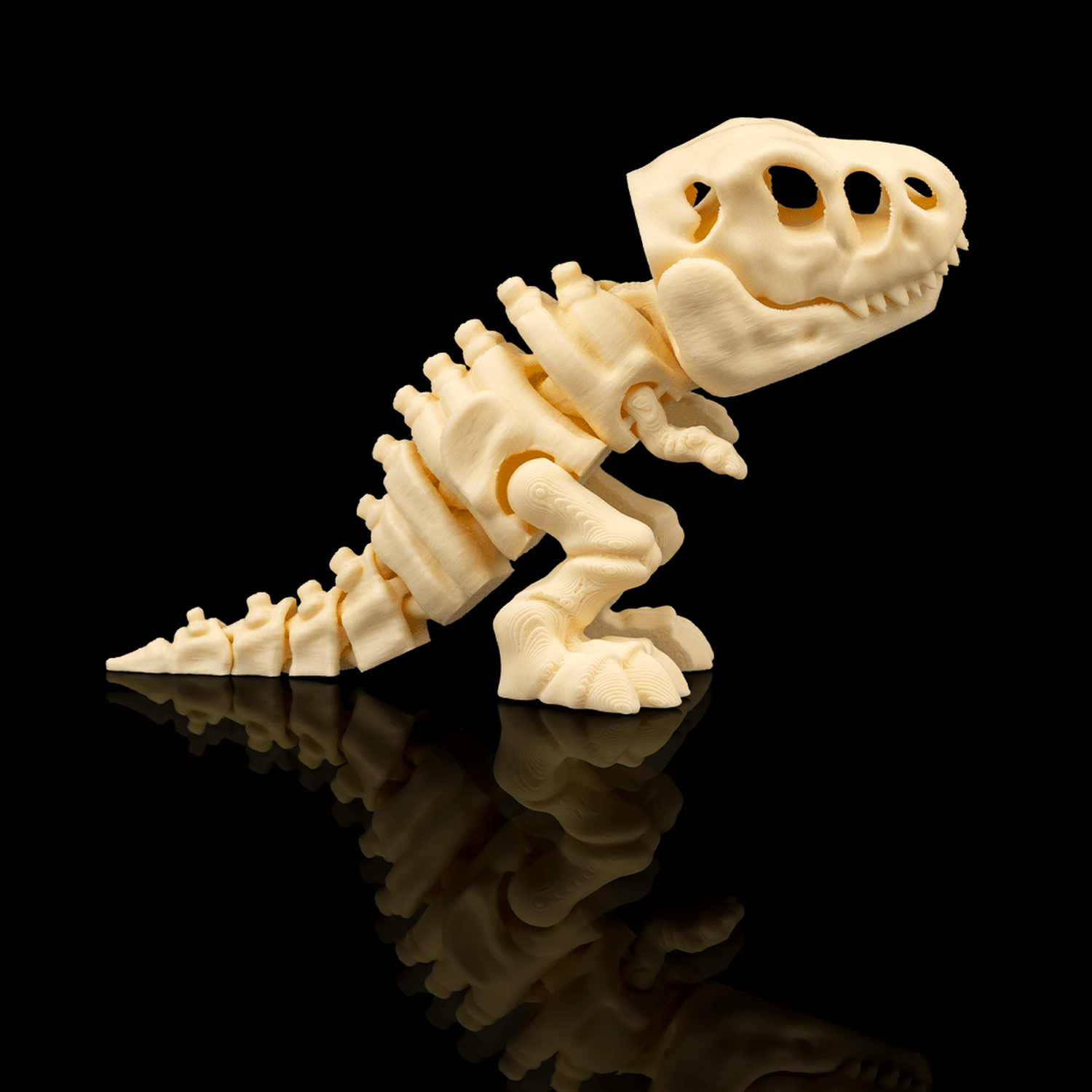 Skeleton T-Rex