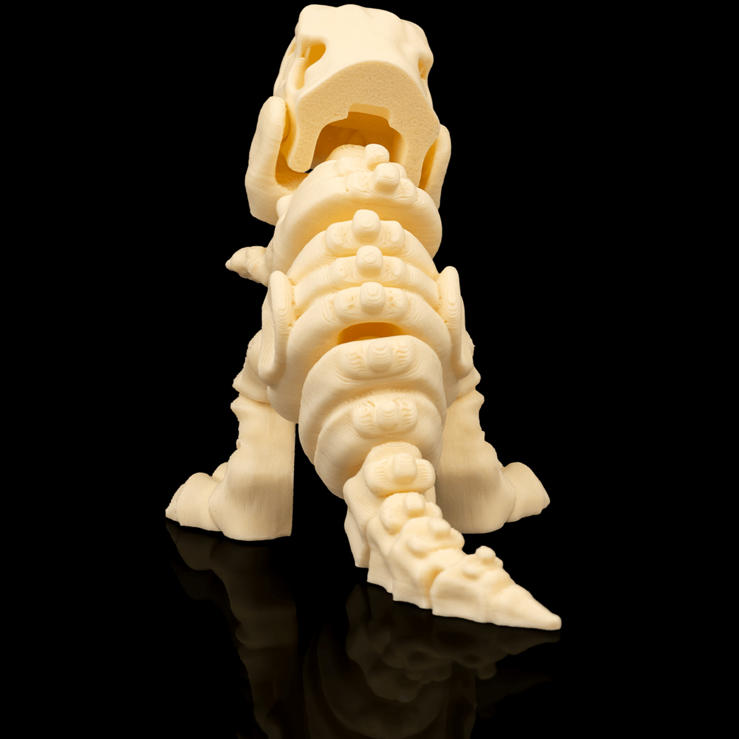Skeleton T-Rex