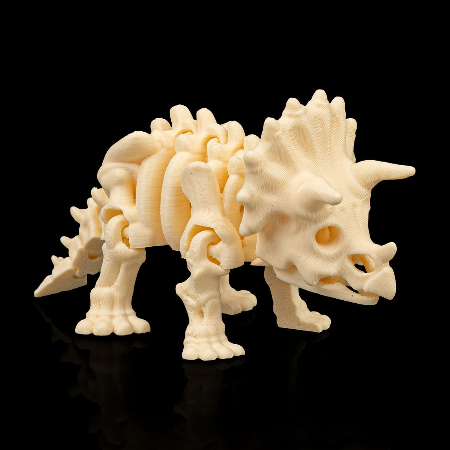 Skeleton Triceratops